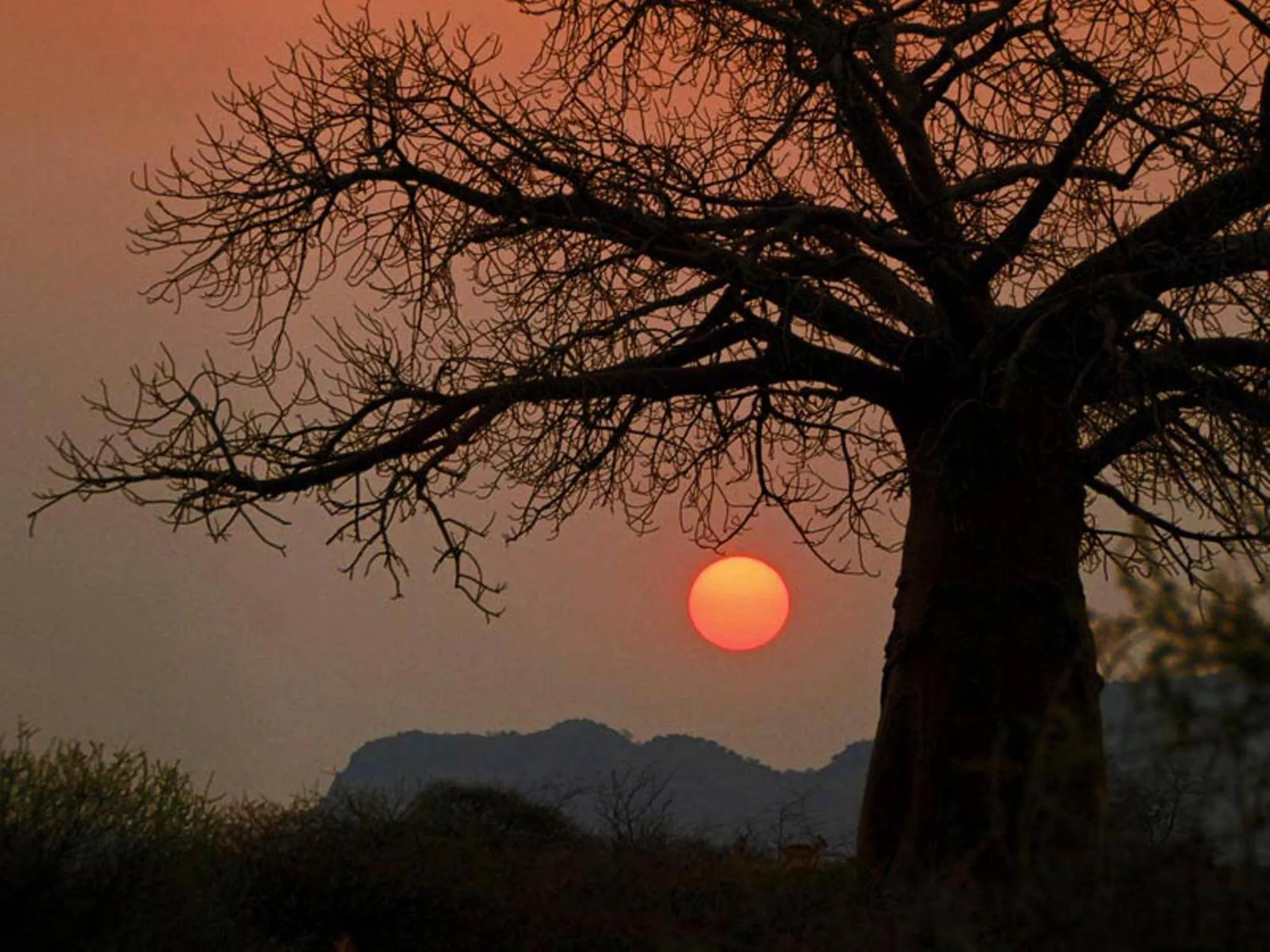 Other in Madi a Thavha Mountain Lodge