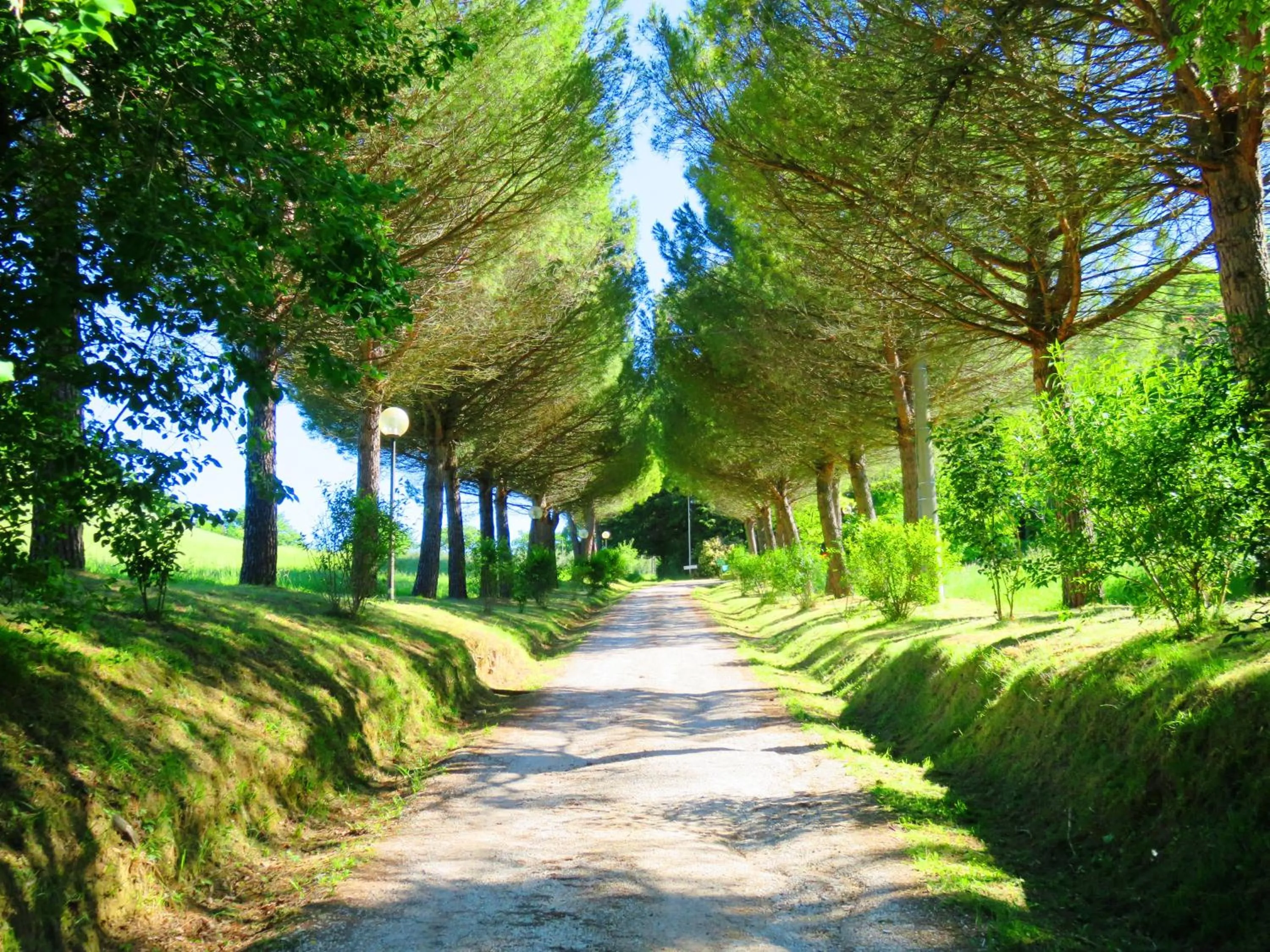 Property logo or sign in Castello Cortevecchio