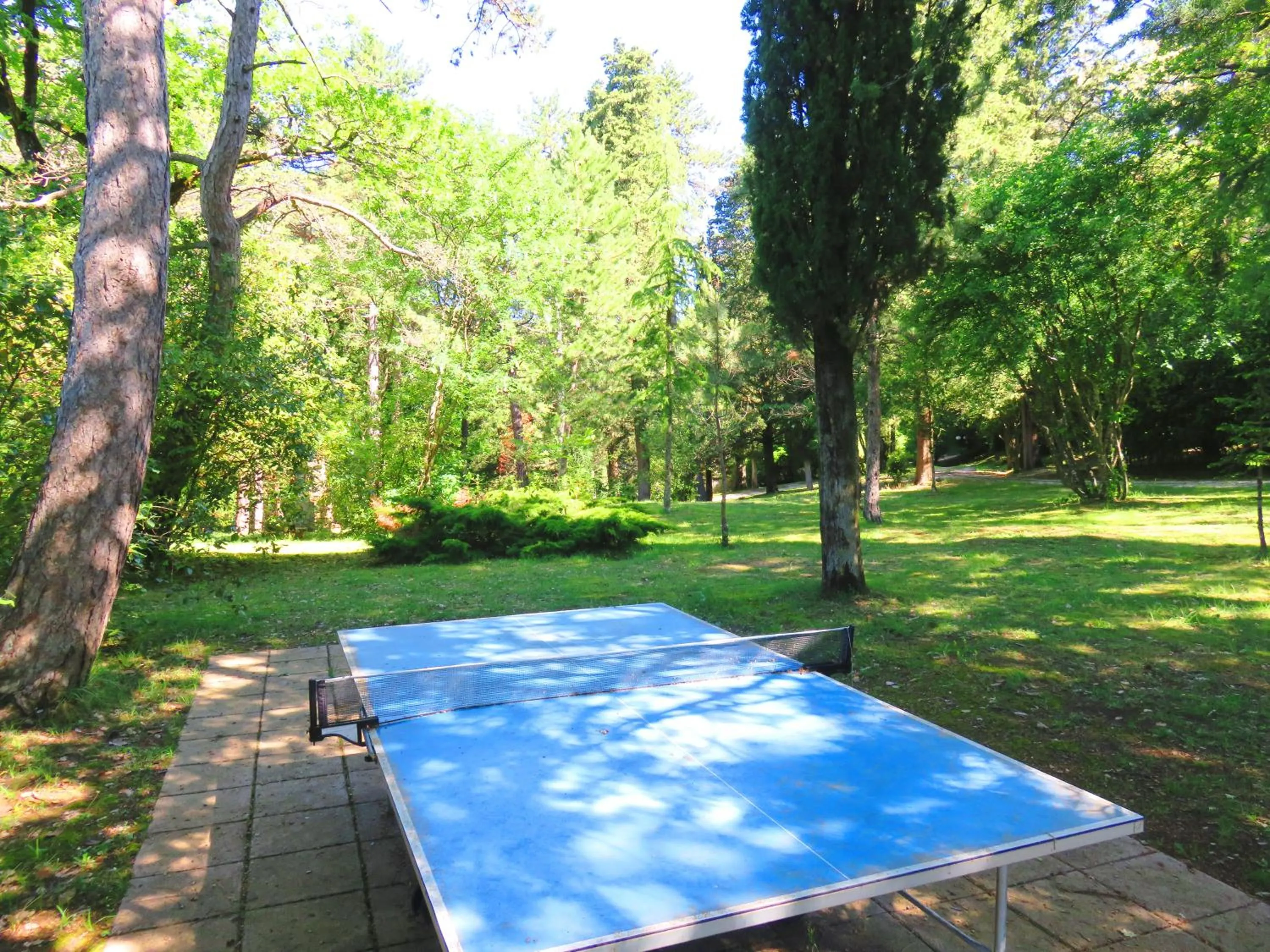 Garden in Castello Cortevecchio