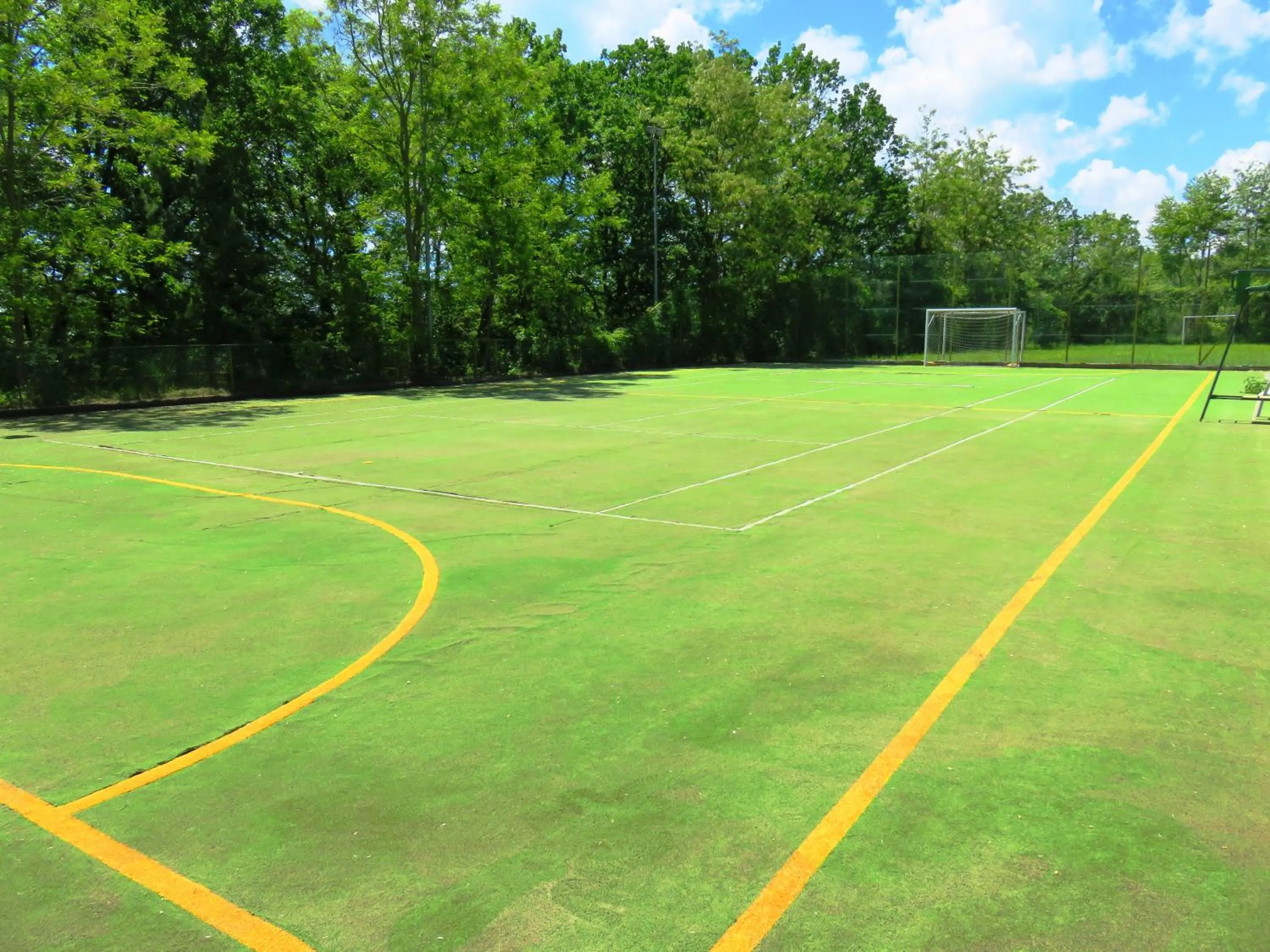 Activities in Castello Cortevecchio