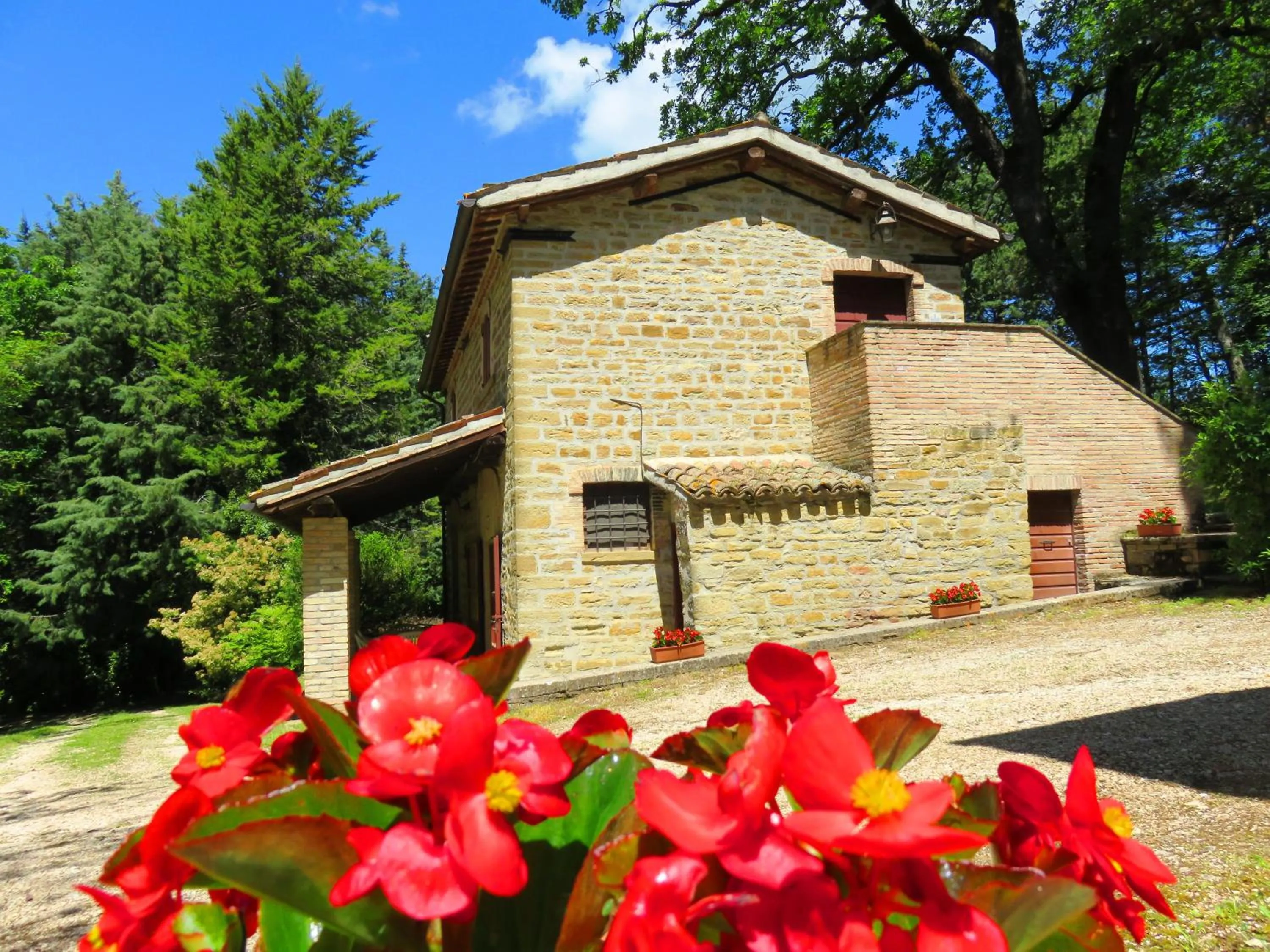 Garden view in Castello Cortevecchio