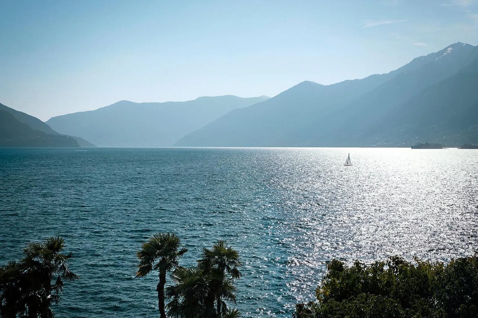 Natural landscape in Hotel Eden Roc - The Leading Hotels of the World