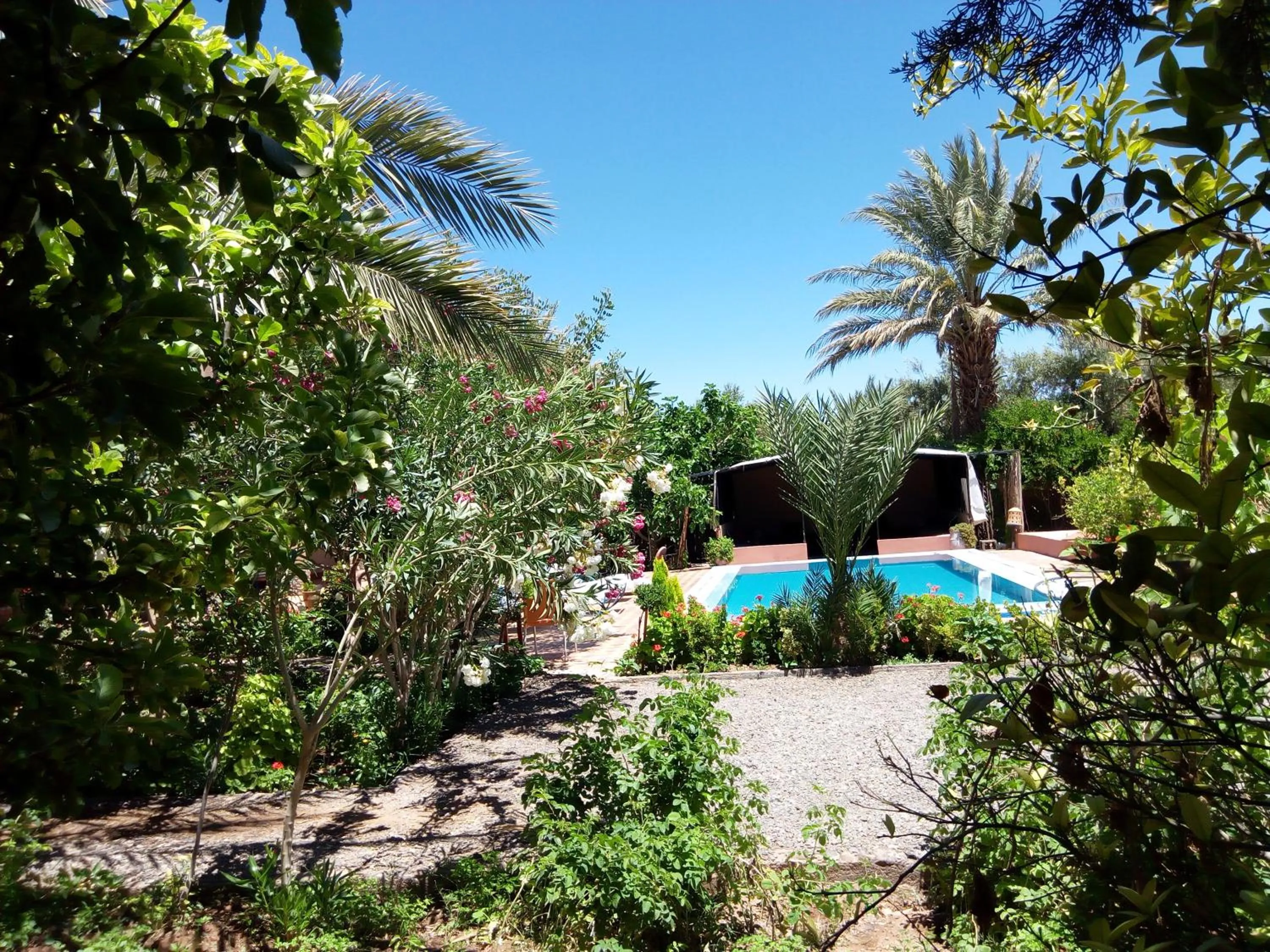 Garden view in Bassatine Skoura