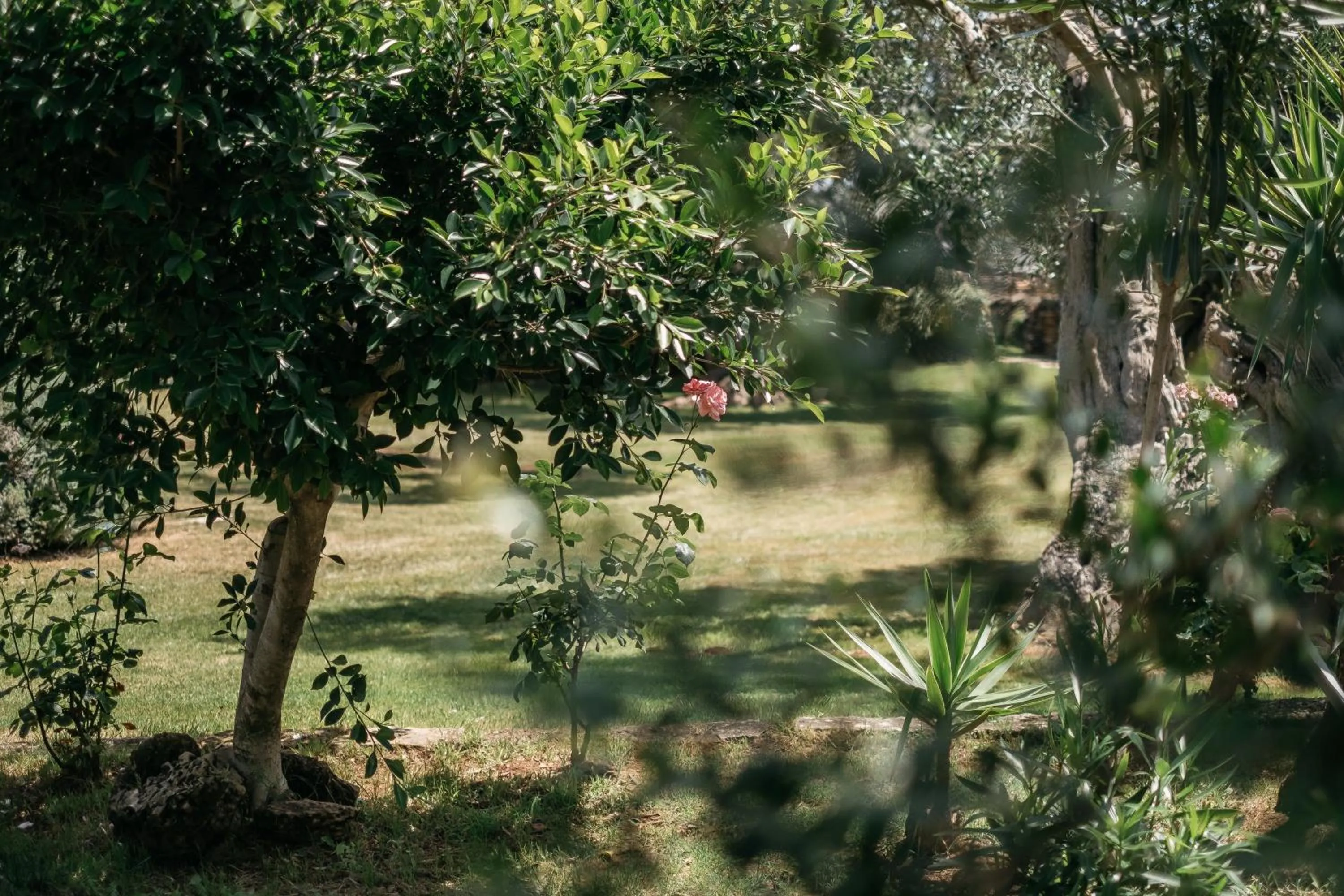 Natural landscape in Tenuta Monacelli Lecce