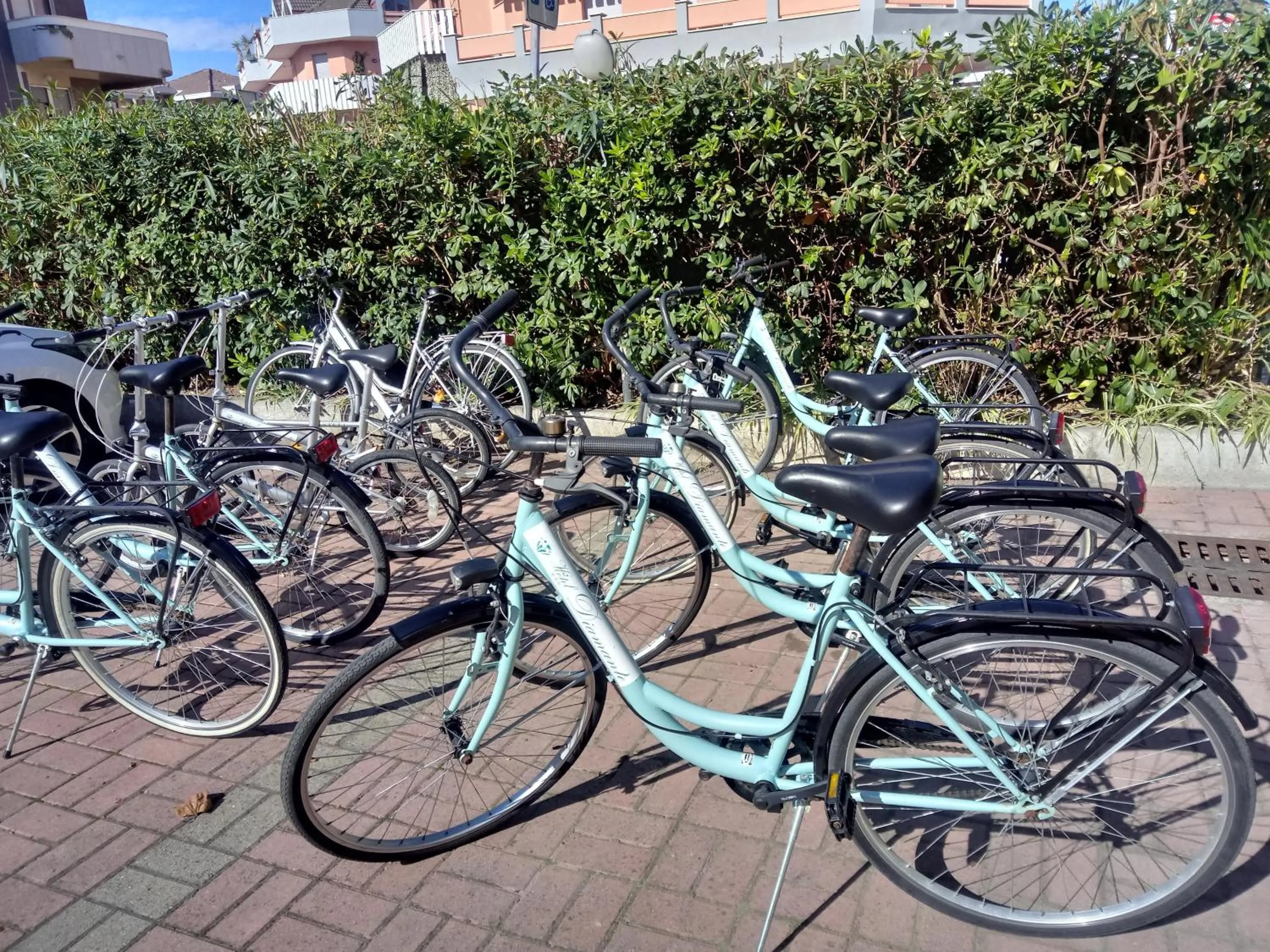 Activities in Hotel Diamante