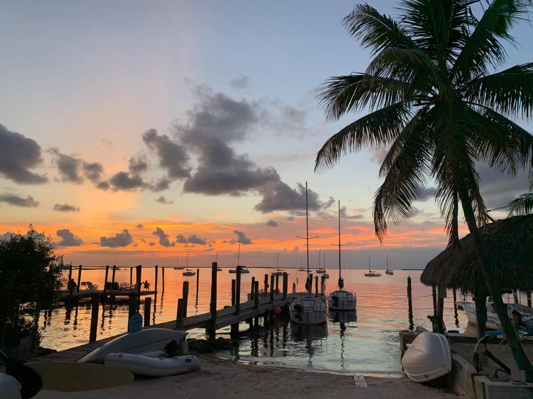 Natural landscape in Key Largo Cottages