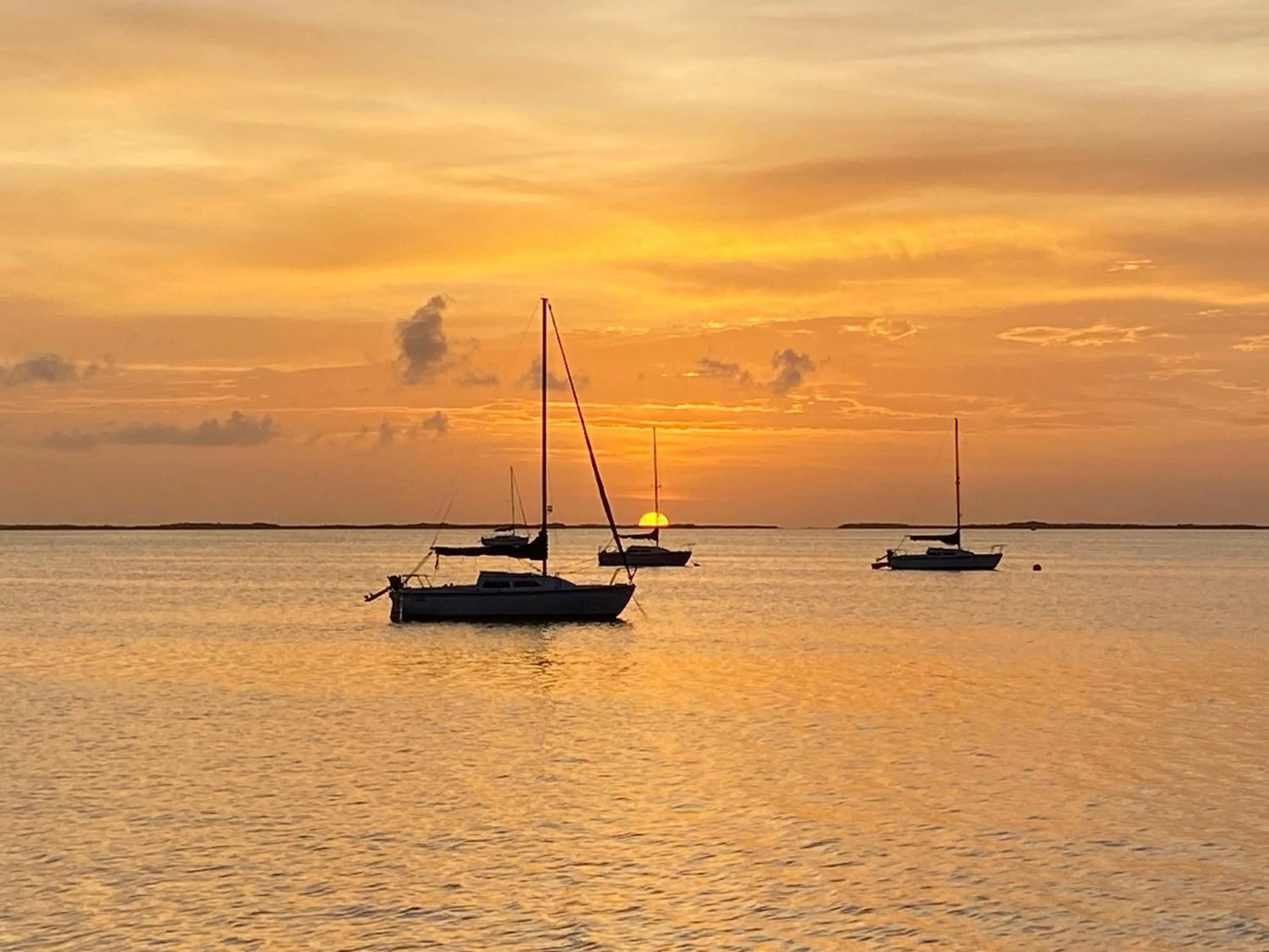 Activities in Key Largo Cottages