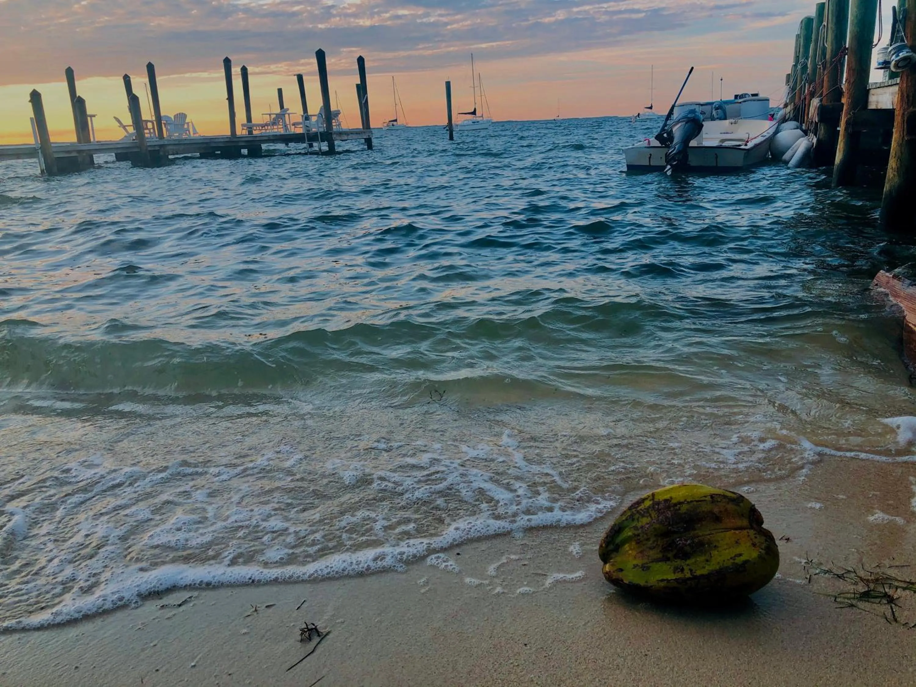 Sea view in Key Largo Cottages