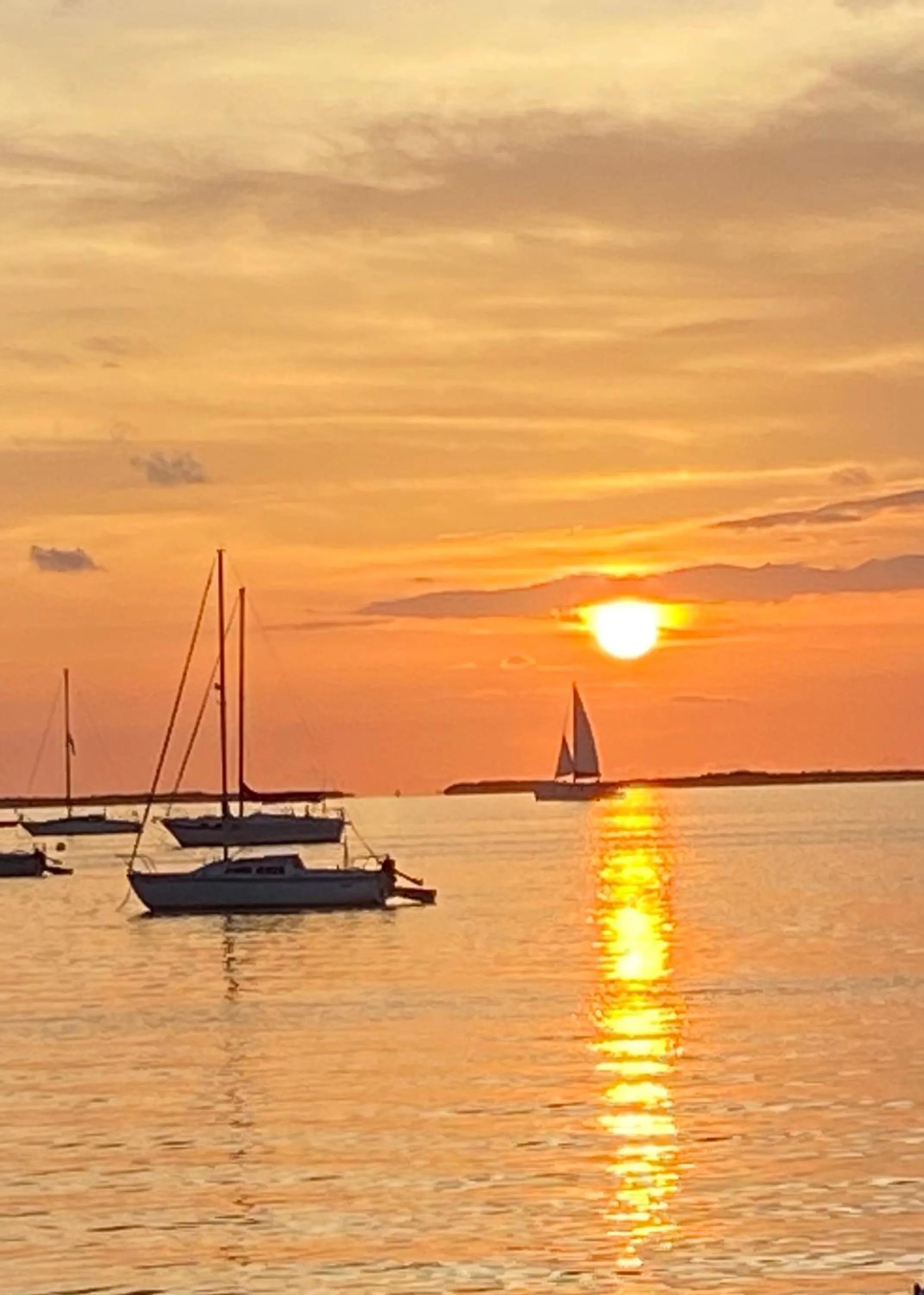 Activities in Key Largo Cottages