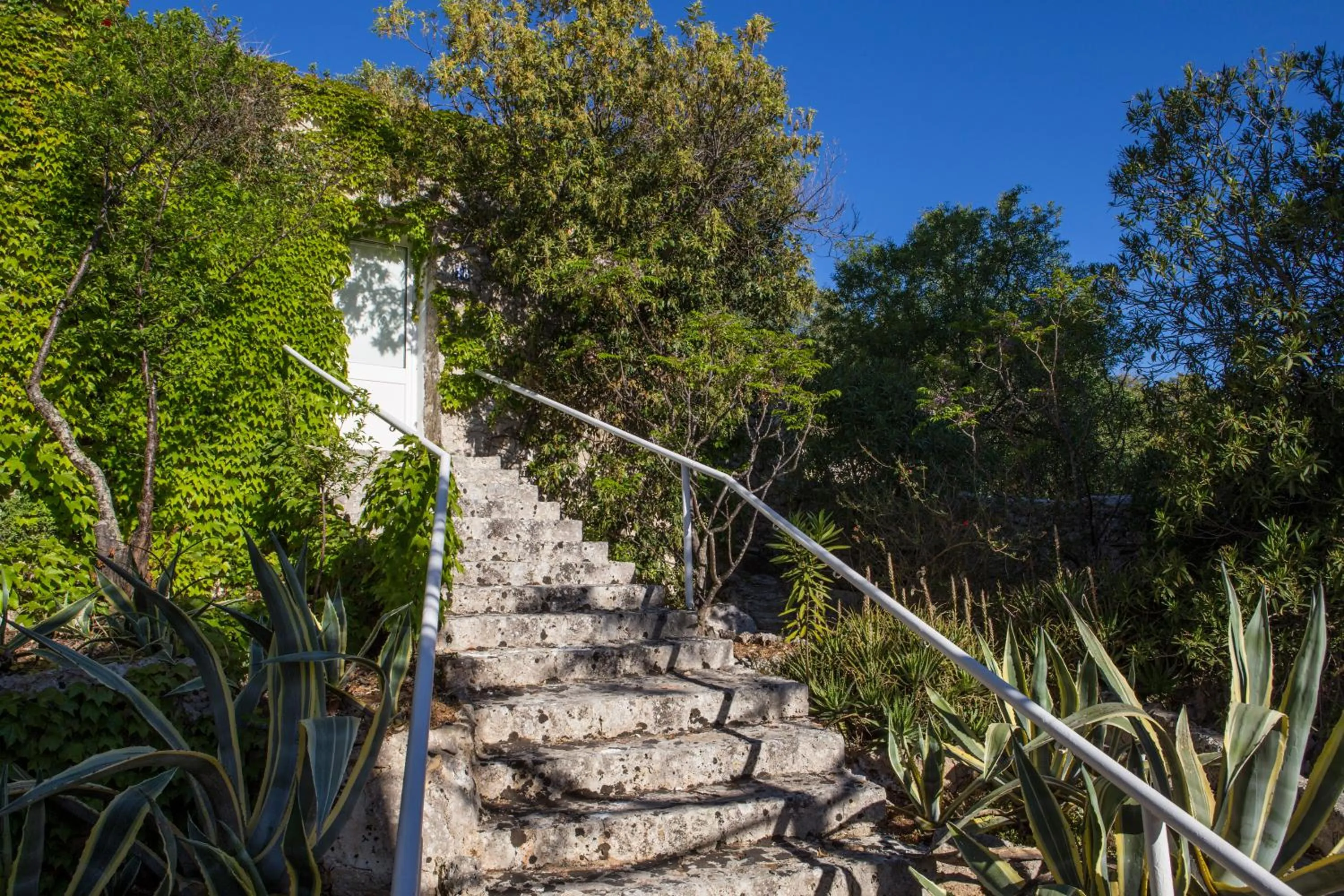 Garden in Hotel Piccolo Mondo