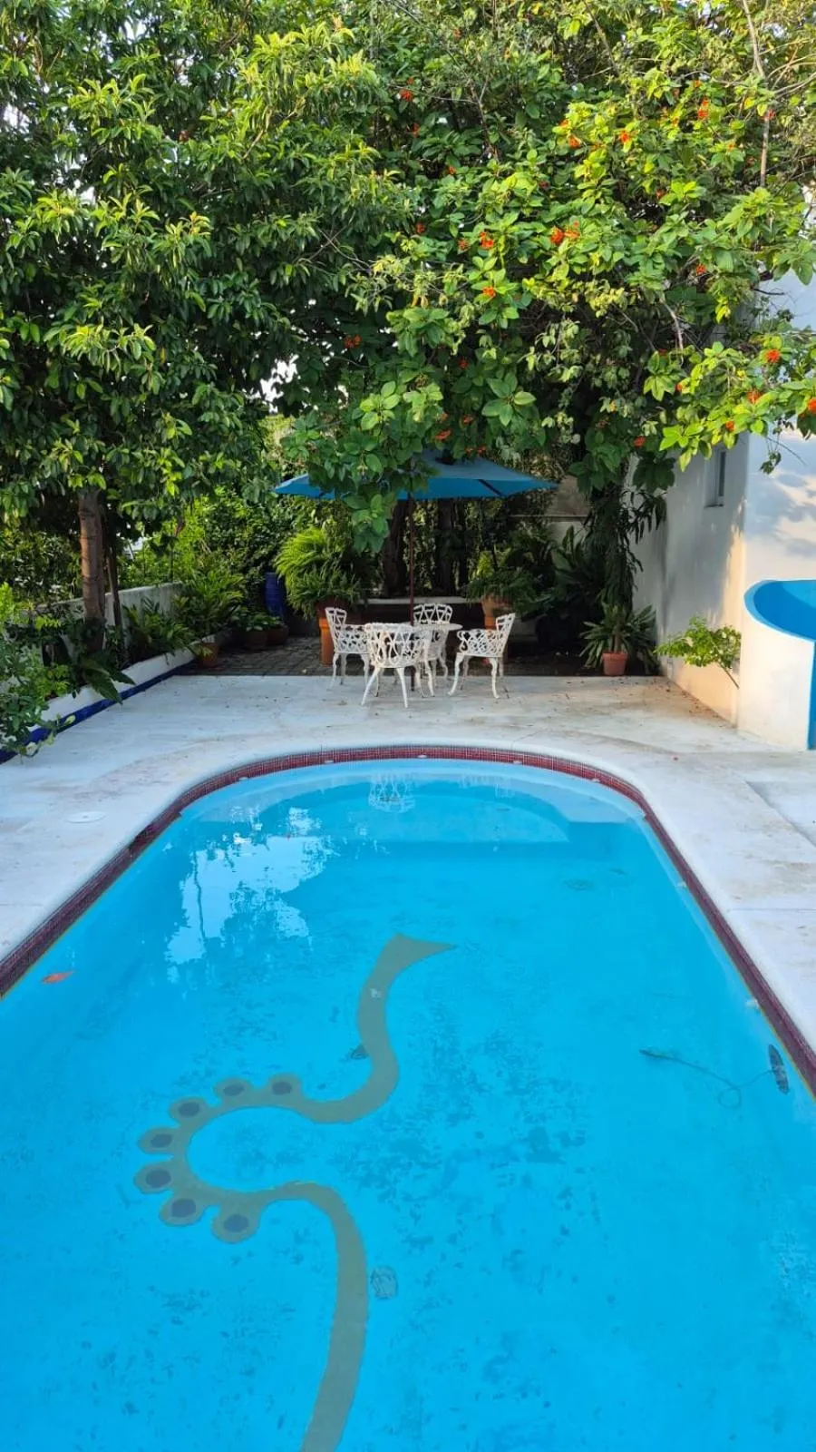 Swimming pool in Hotel Mision, Acapulco centro