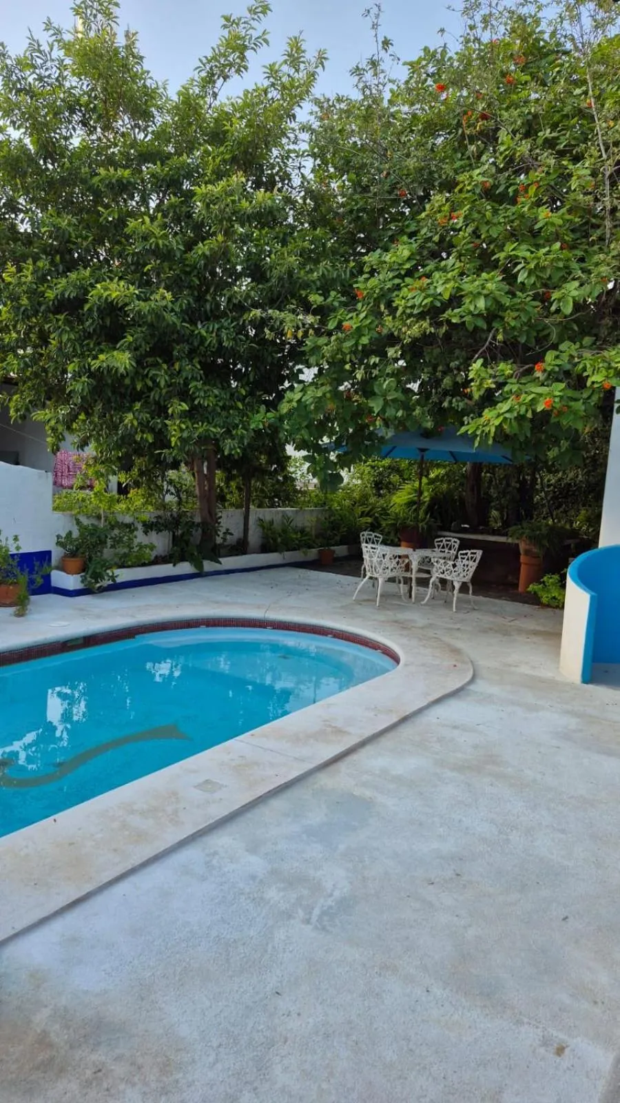 Swimming pool in Hotel Mision, Acapulco centro