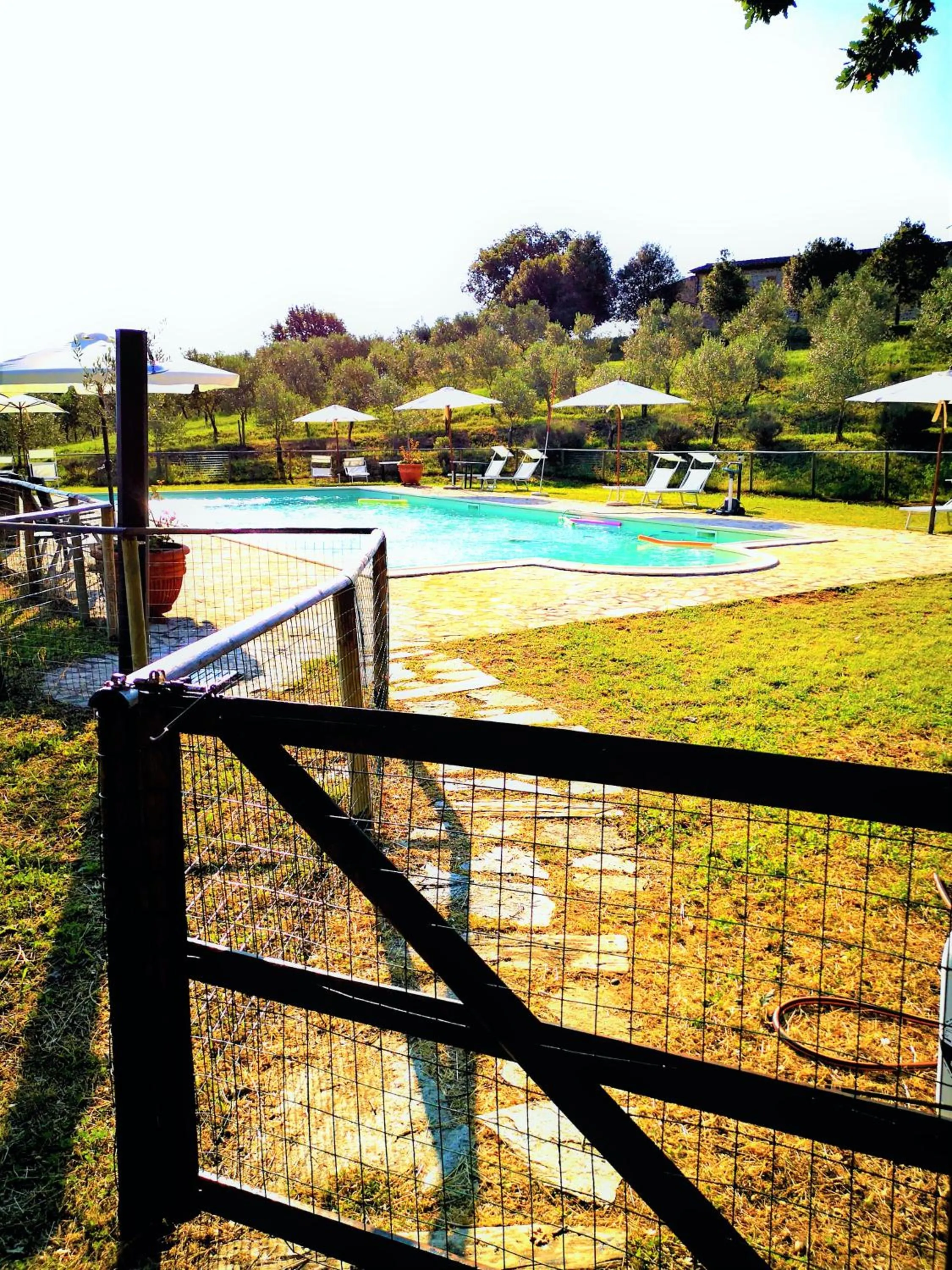 Garden view in Locanda Vesuna Hotel Countryhouse