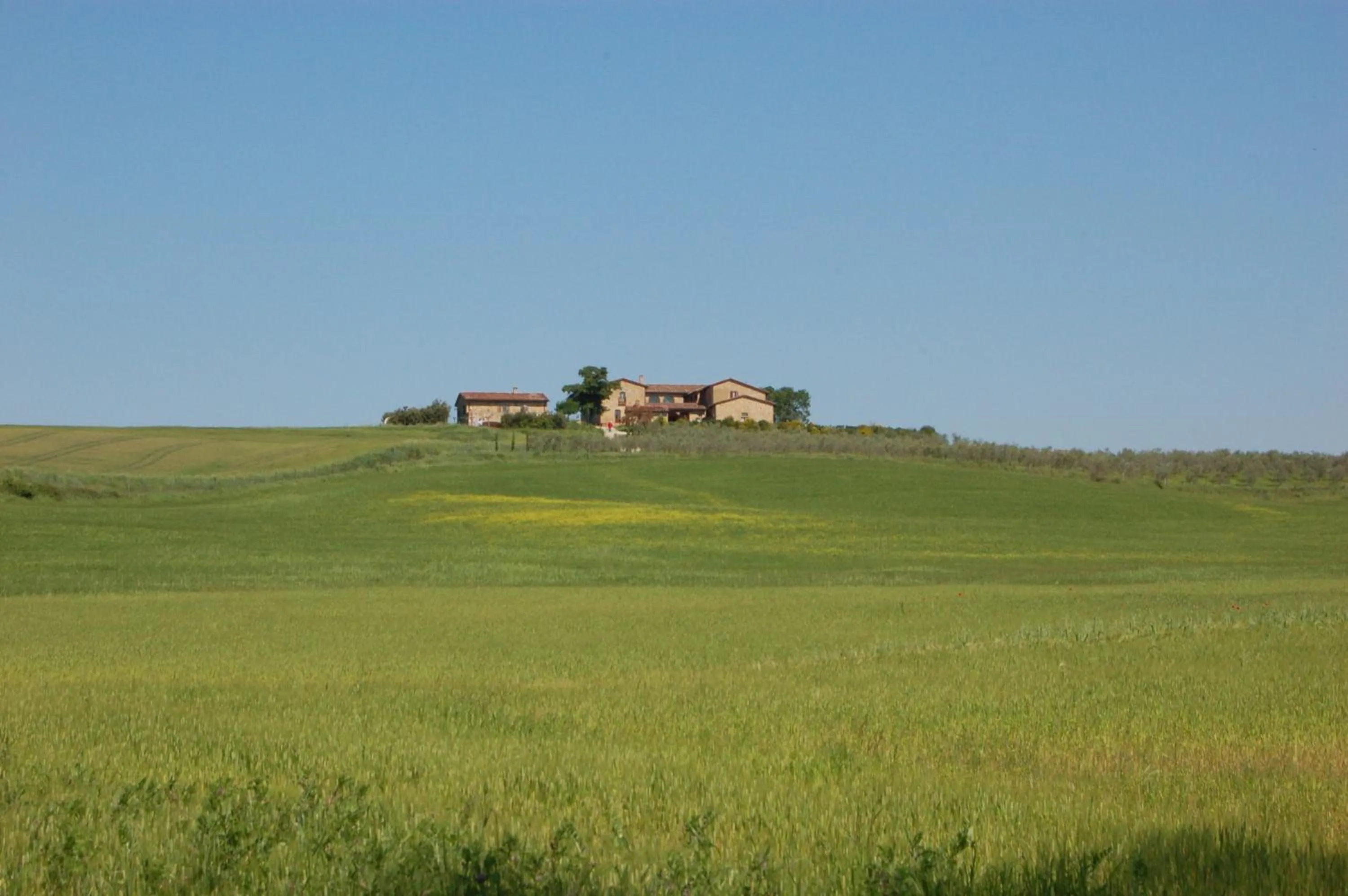 Area and facilities in Locanda Vesuna Hotel Countryhouse