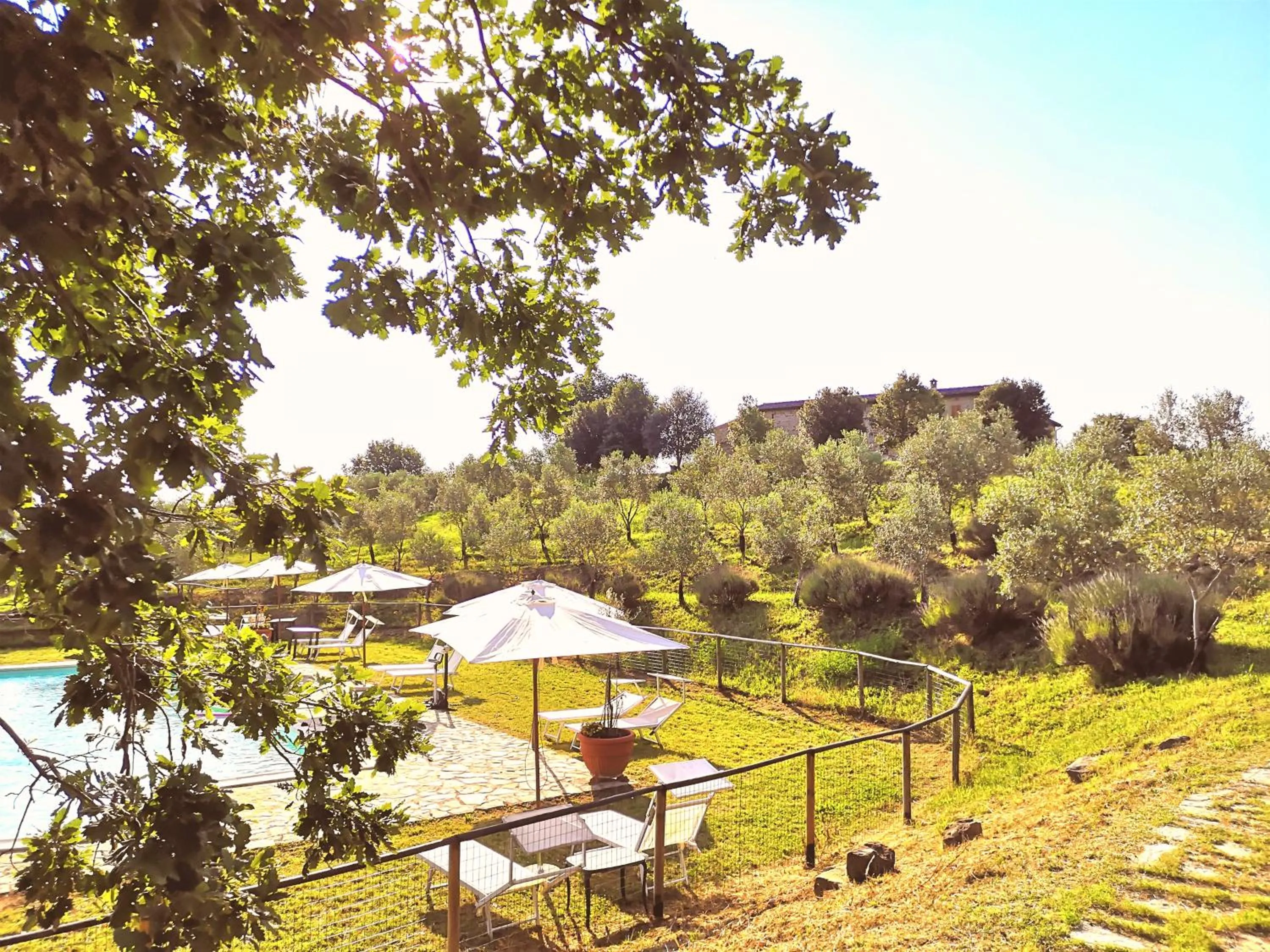 Pool view in Locanda Vesuna Hotel Countryhouse