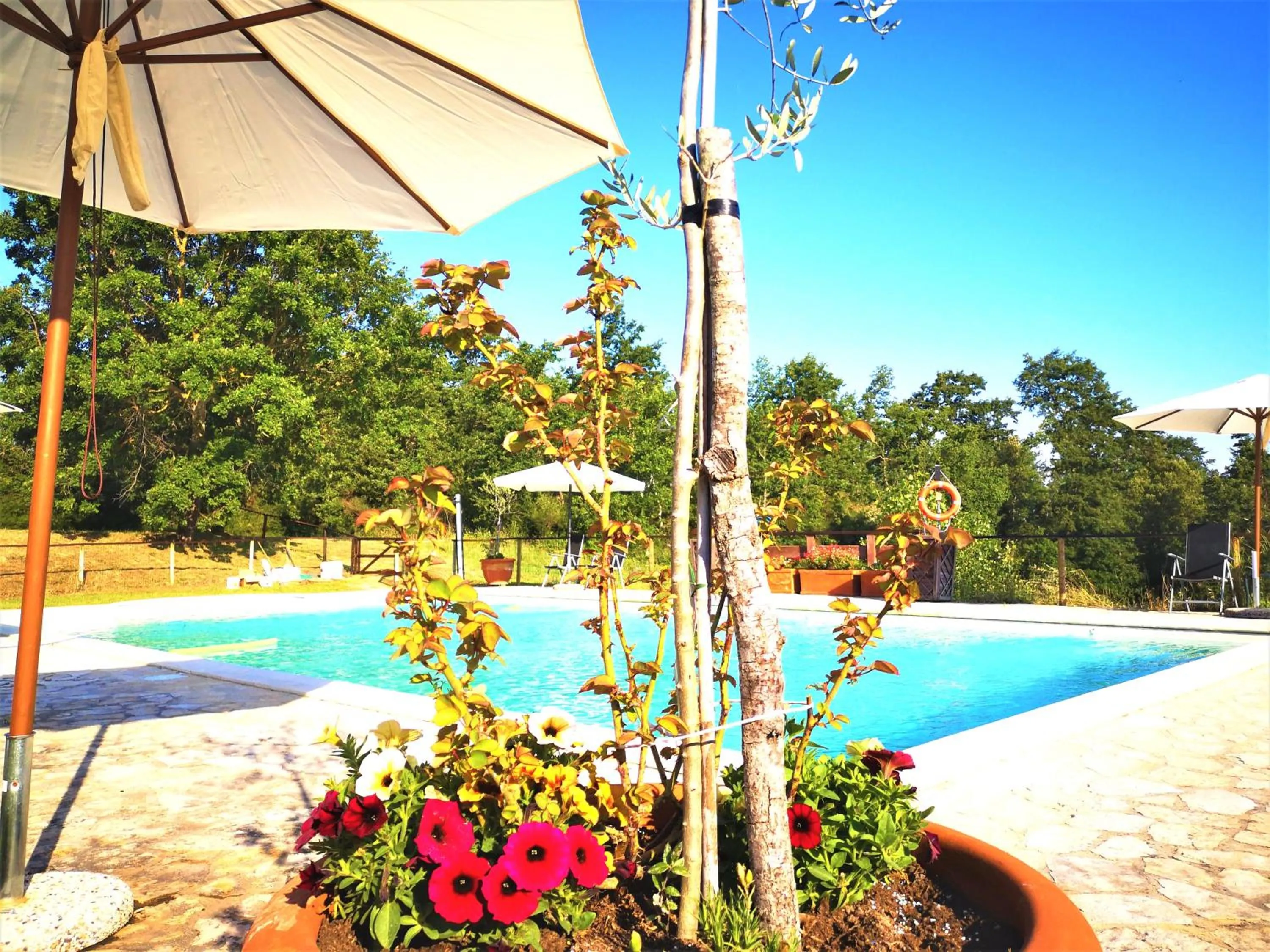 Pool view in Locanda Vesuna Hotel Countryhouse
