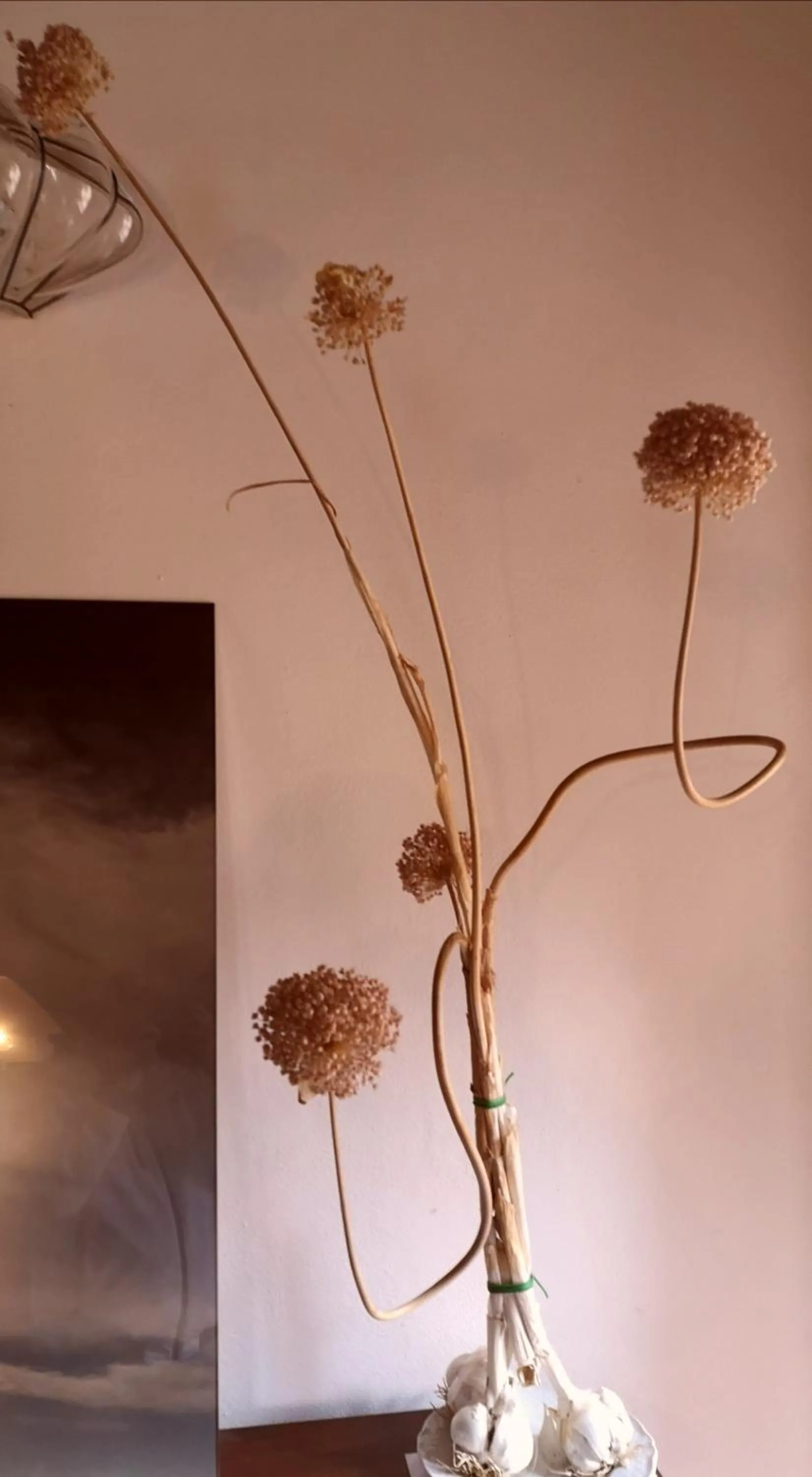 Restaurant/places to eat in Locanda Vesuna Hotel Countryhouse