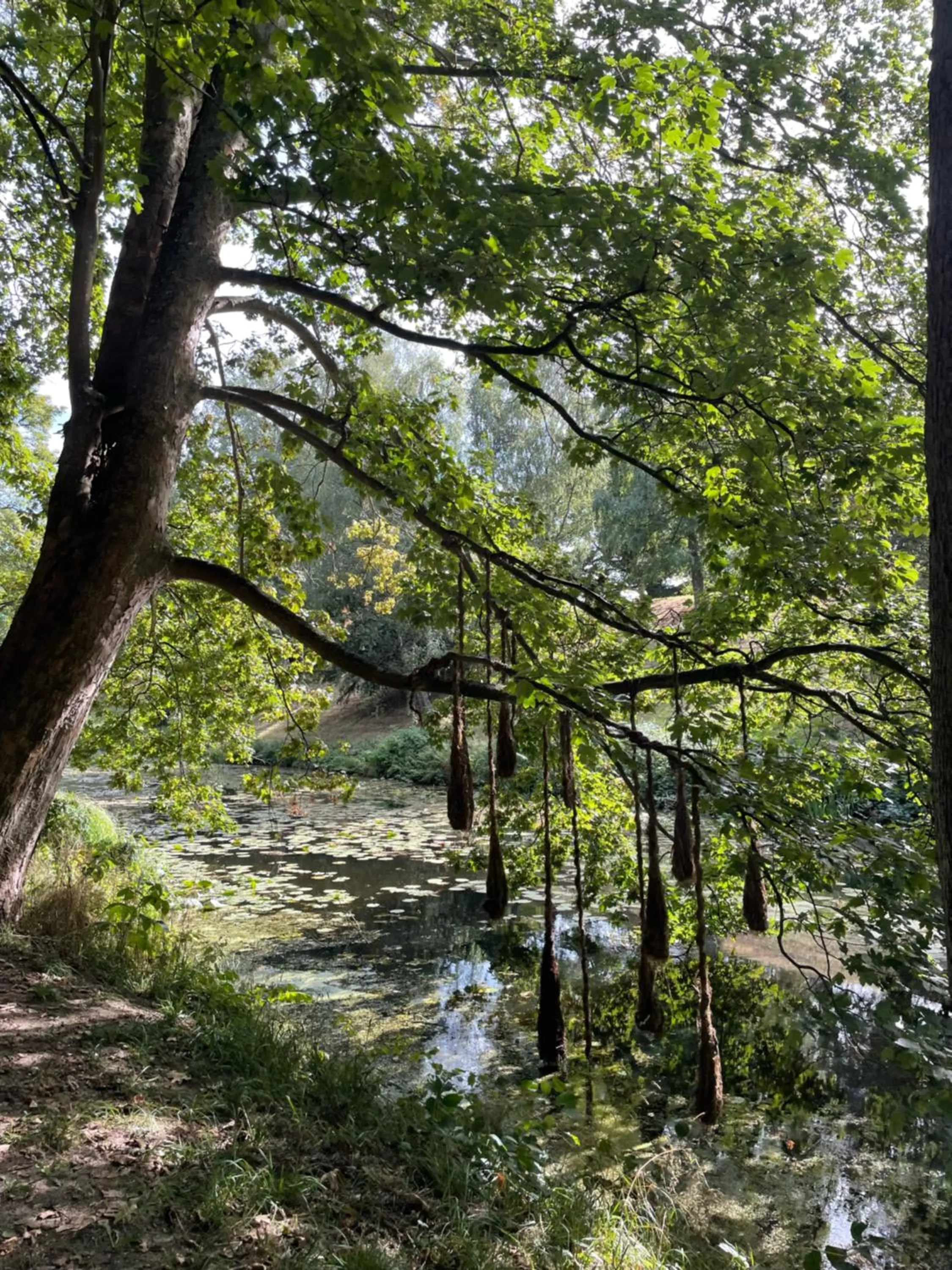 Neighbourhood in Hotel Gammel Havn