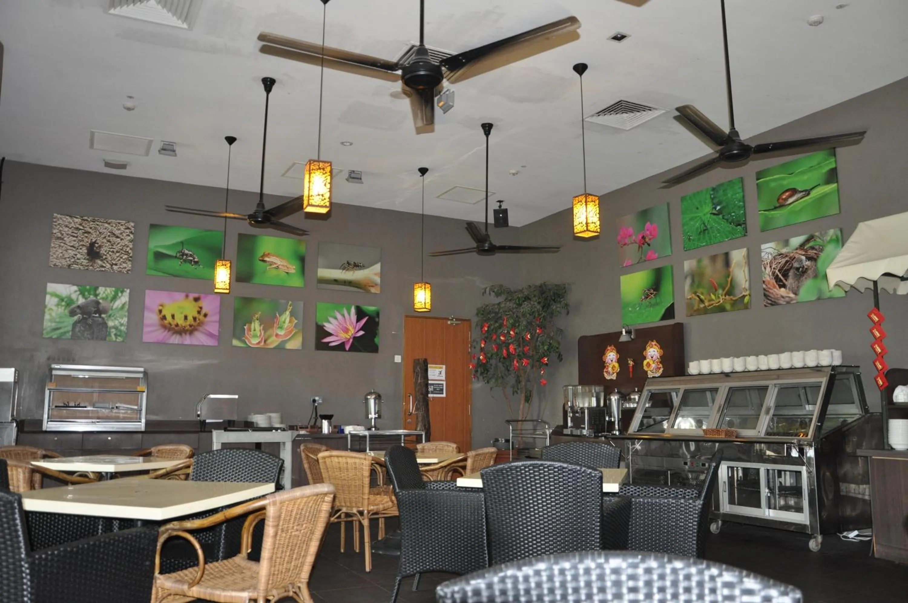 Restaurant/places to eat in Siloso Beach Resort - Sentosa