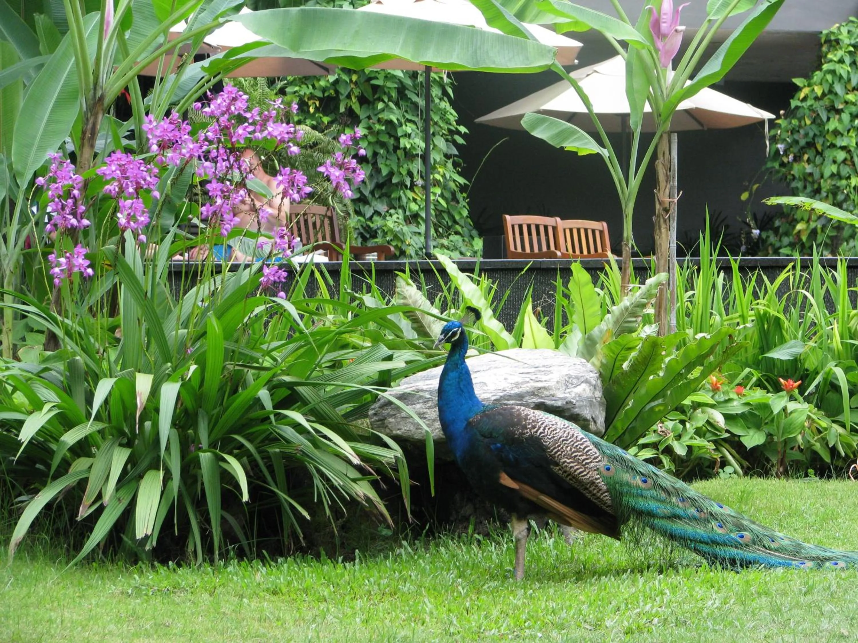 Other in Siloso Beach Resort - Sentosa