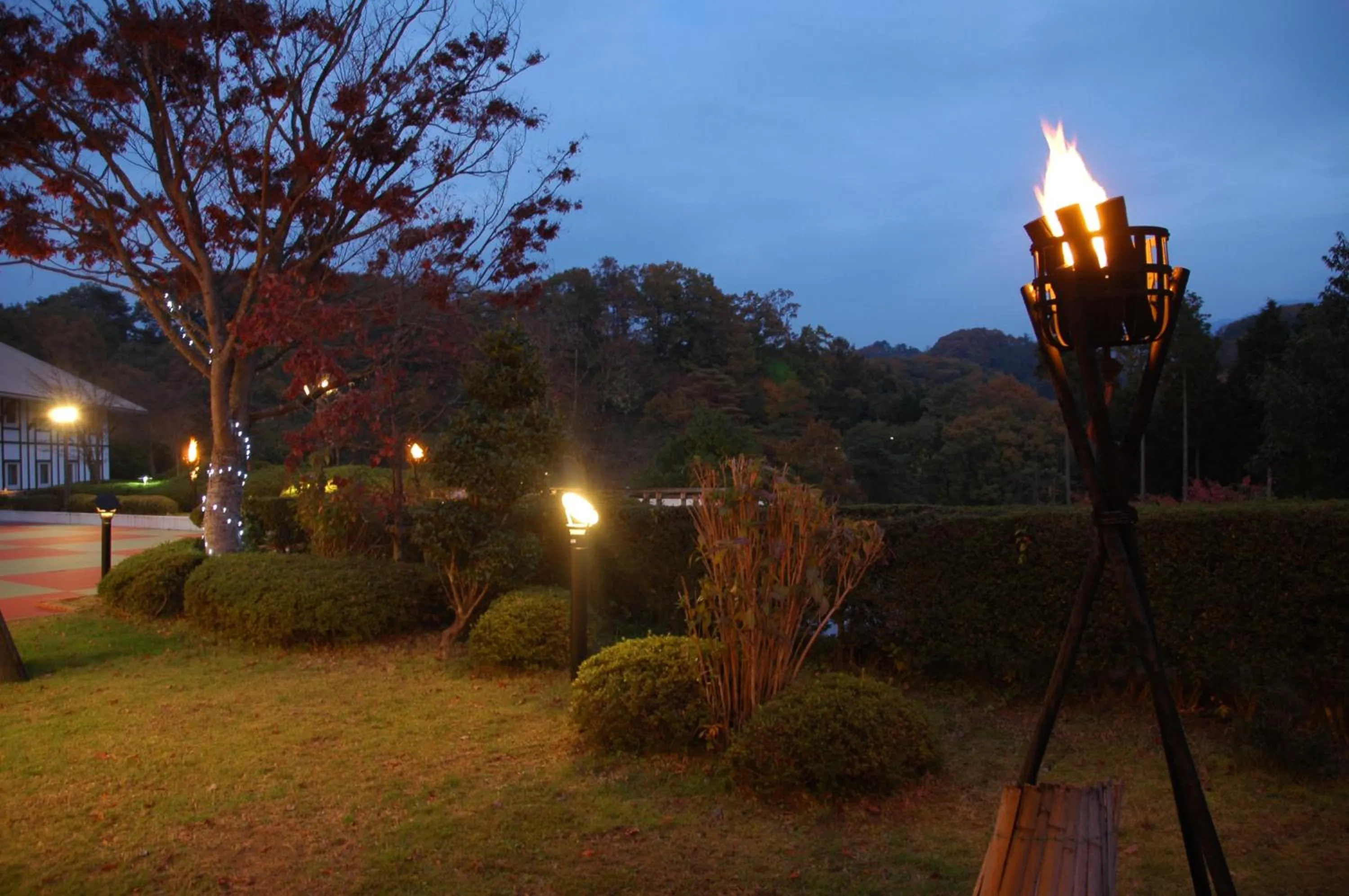 Decorative detail in Forest Hotel Rochefort