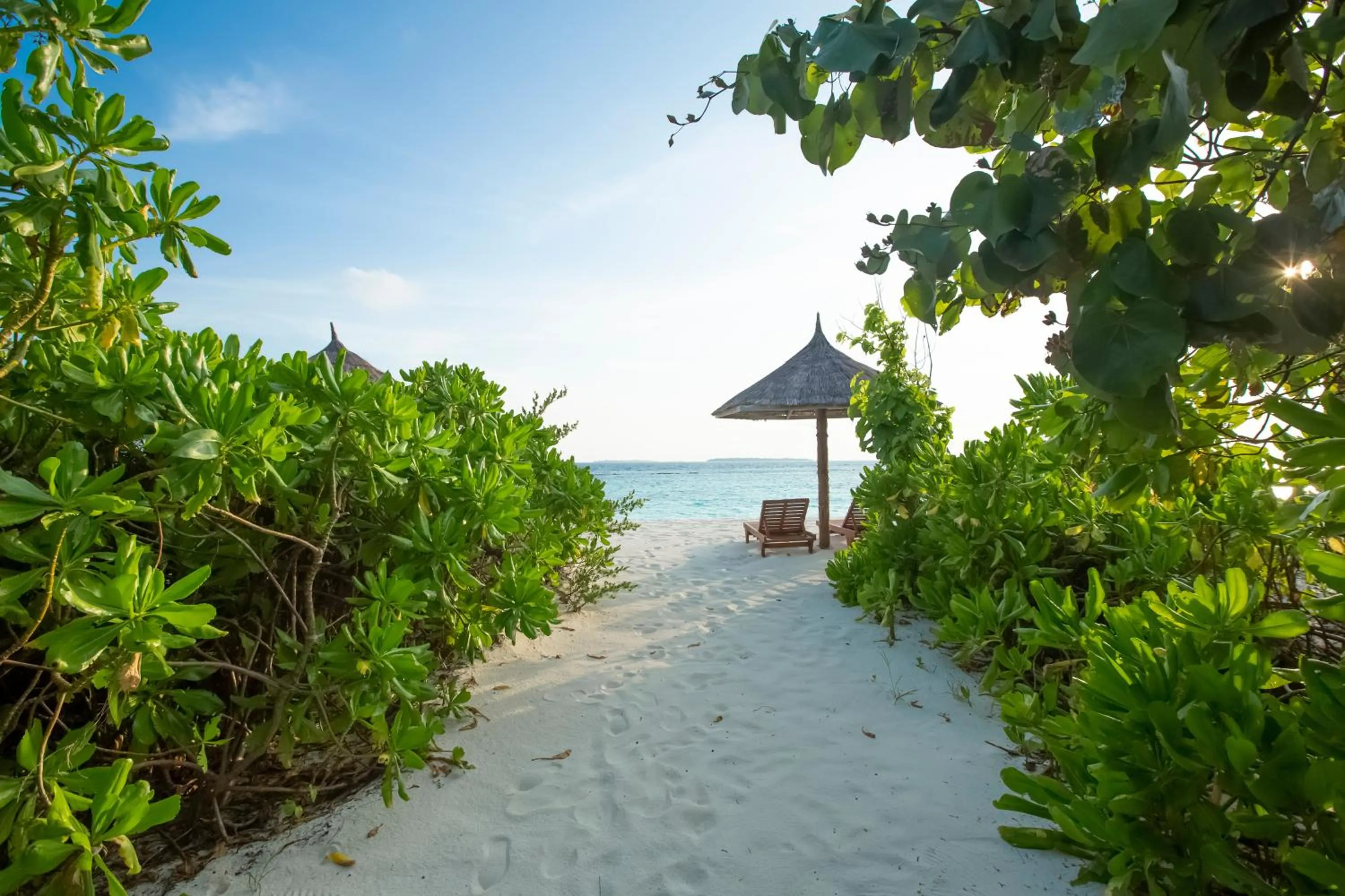 Beach in Reethi Faru Resort - Stay 5 Nights or more Between Aug to Oct 2025 & Enjoy a Free Sunset Cruise