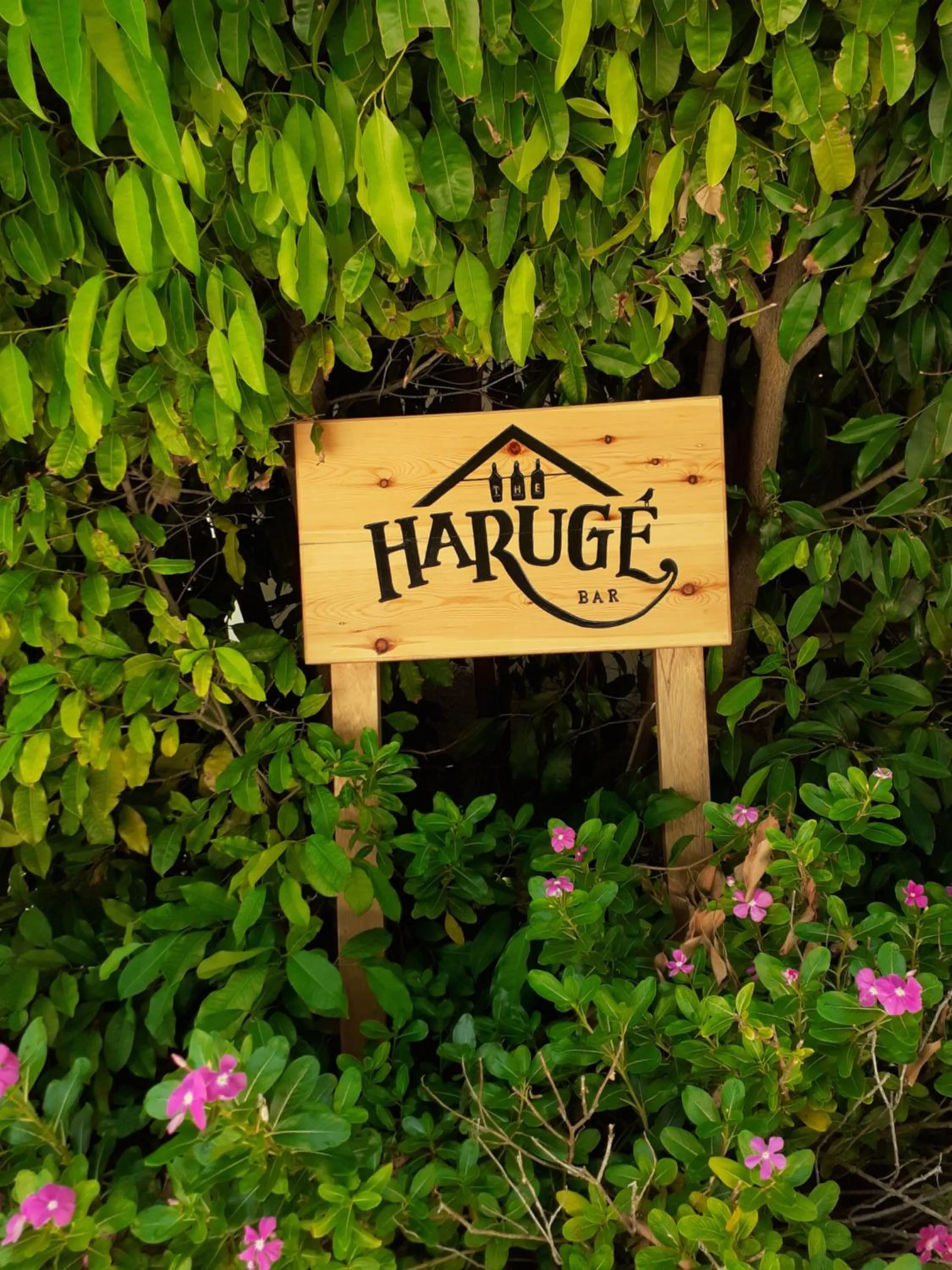 Lounge or bar in Reethi Faru Resort