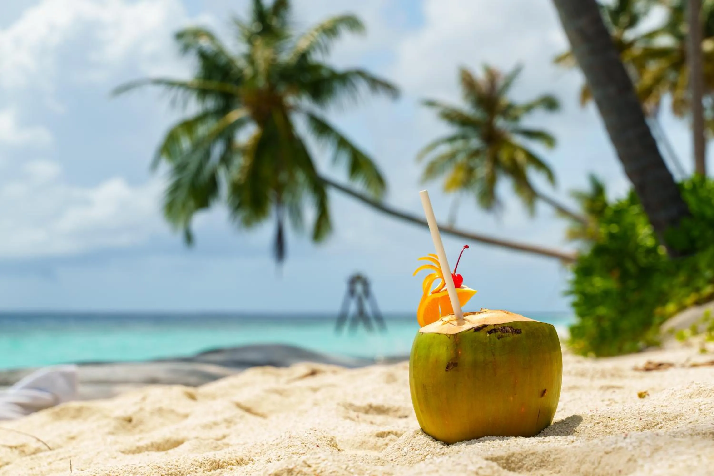 Lounge or bar in Reethi Faru Resort