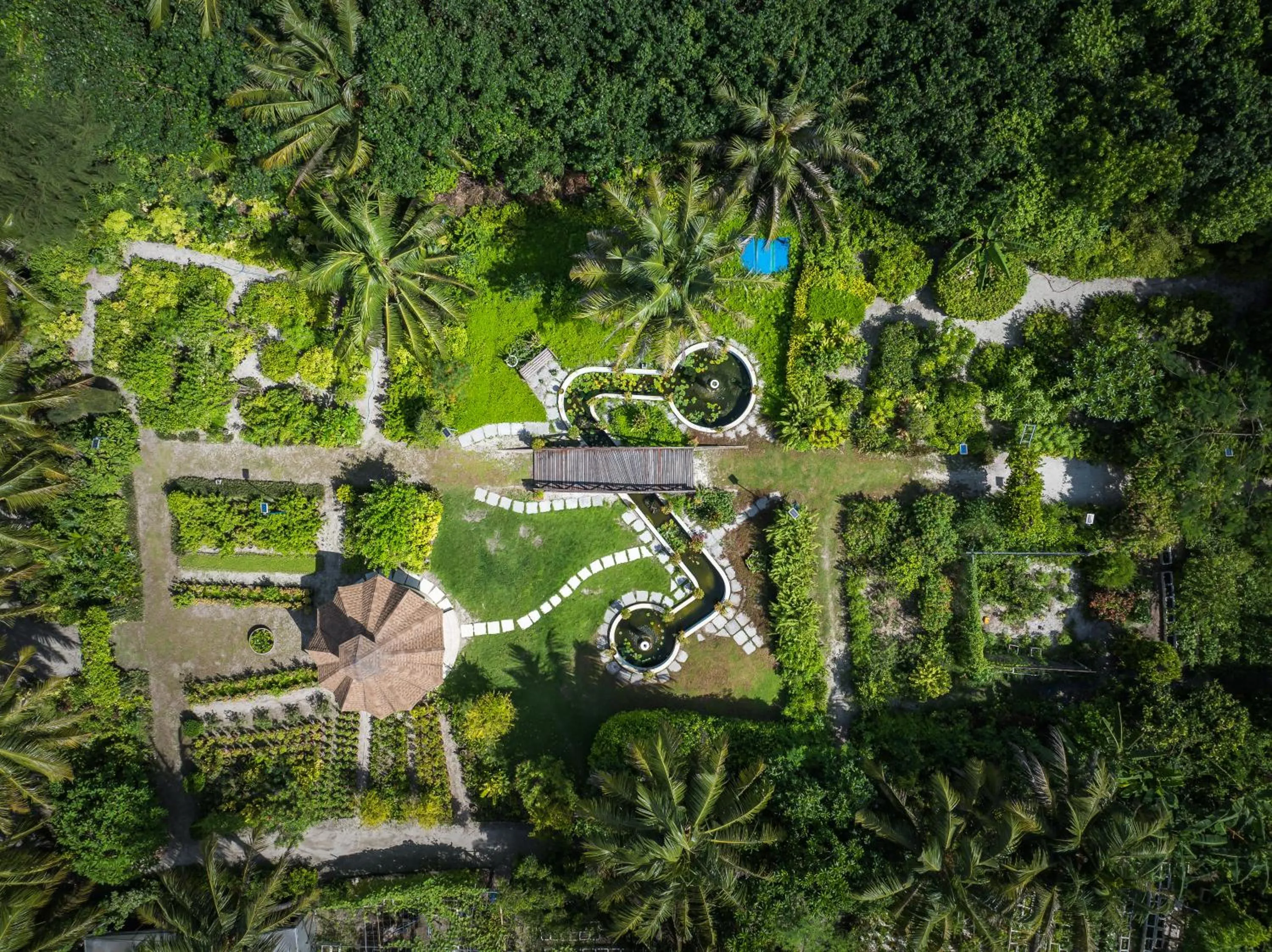 Garden in Reethi Faru Resort