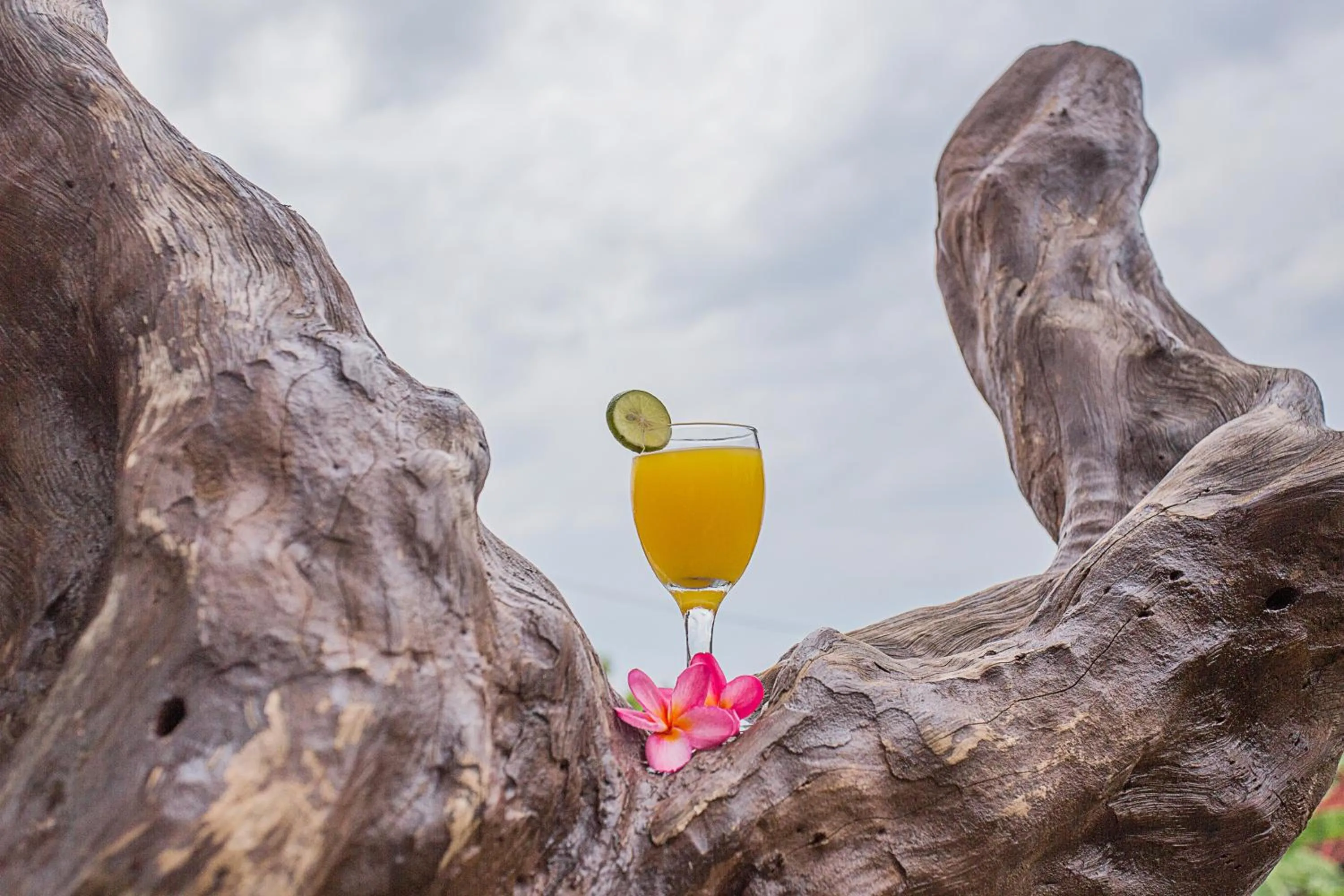 On site in Kabeh Jati Garden Villa & Restaurant