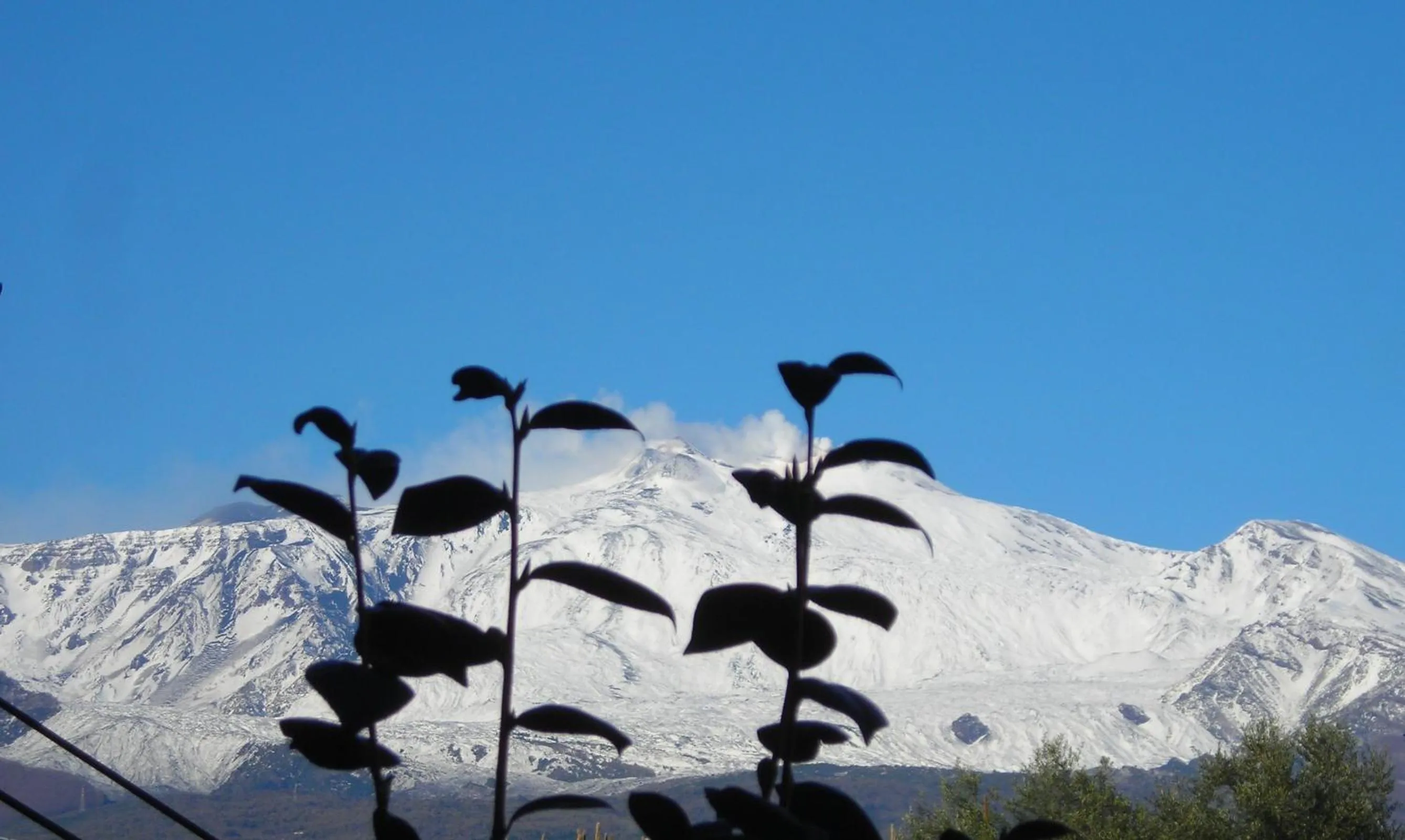 View (from property/room) in B&B CasAnsaldo