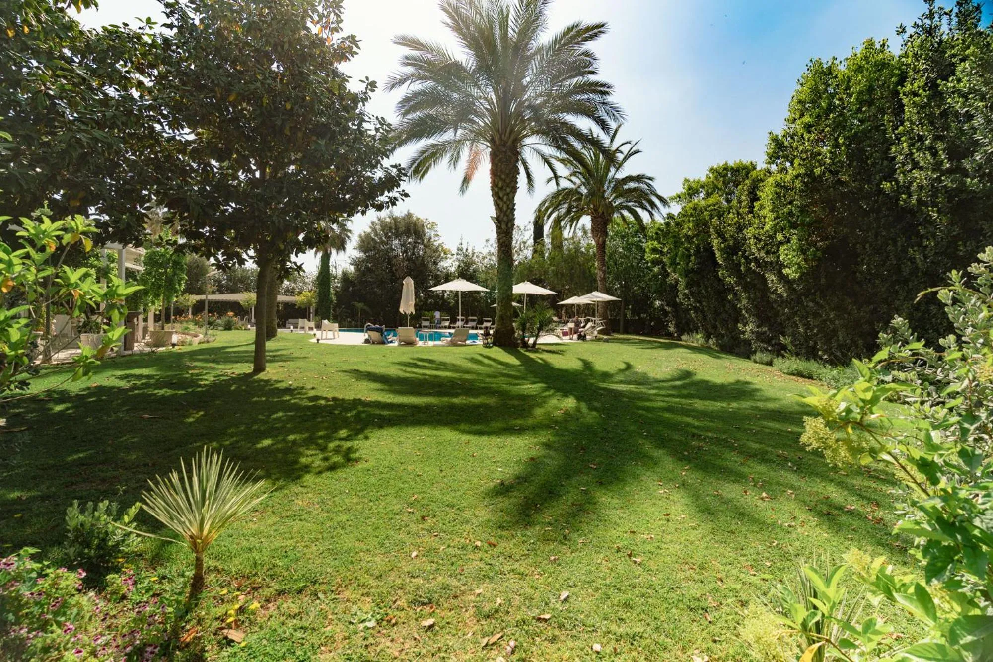 Garden in Modica Palace Hotel