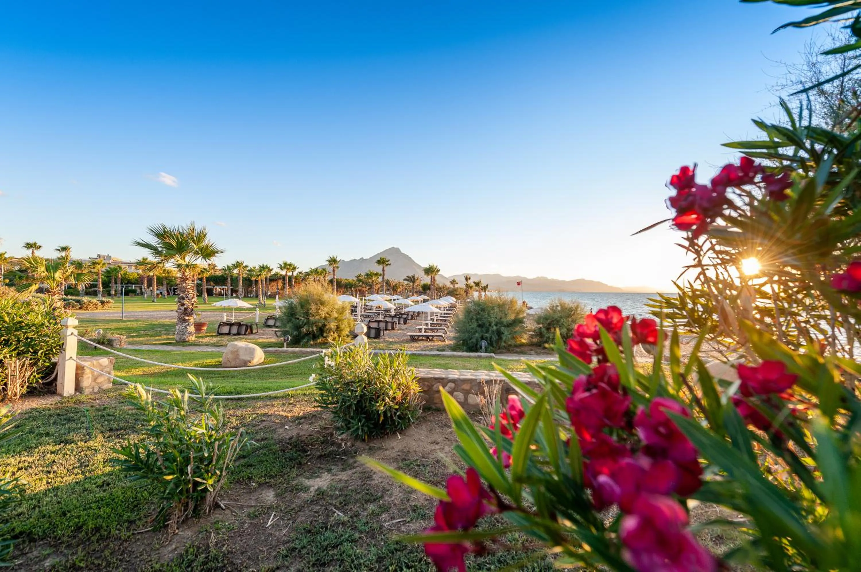 Garden in Acacia Resort Parco Dei Leoni