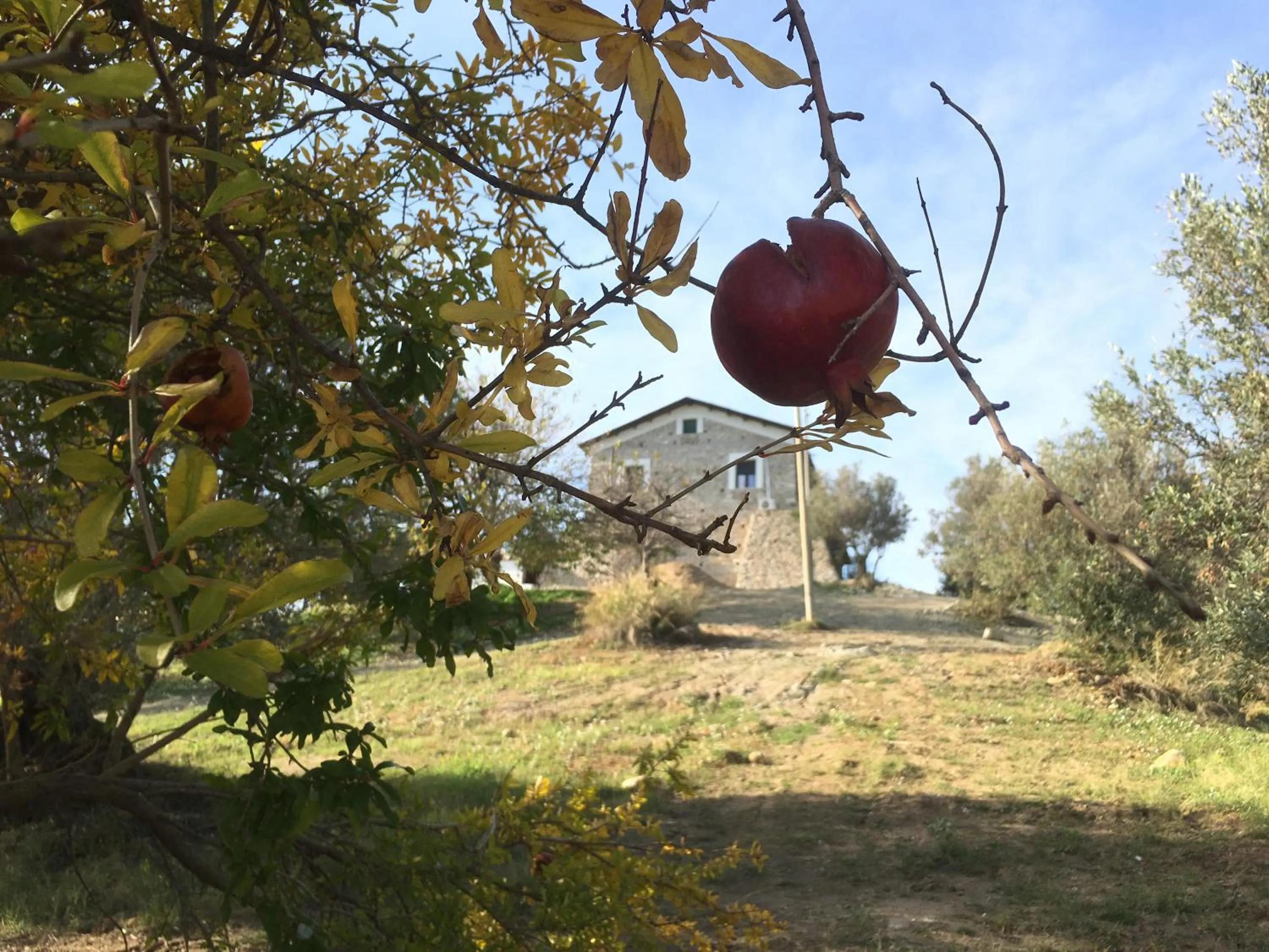 Garden in Don Giacchì Country House