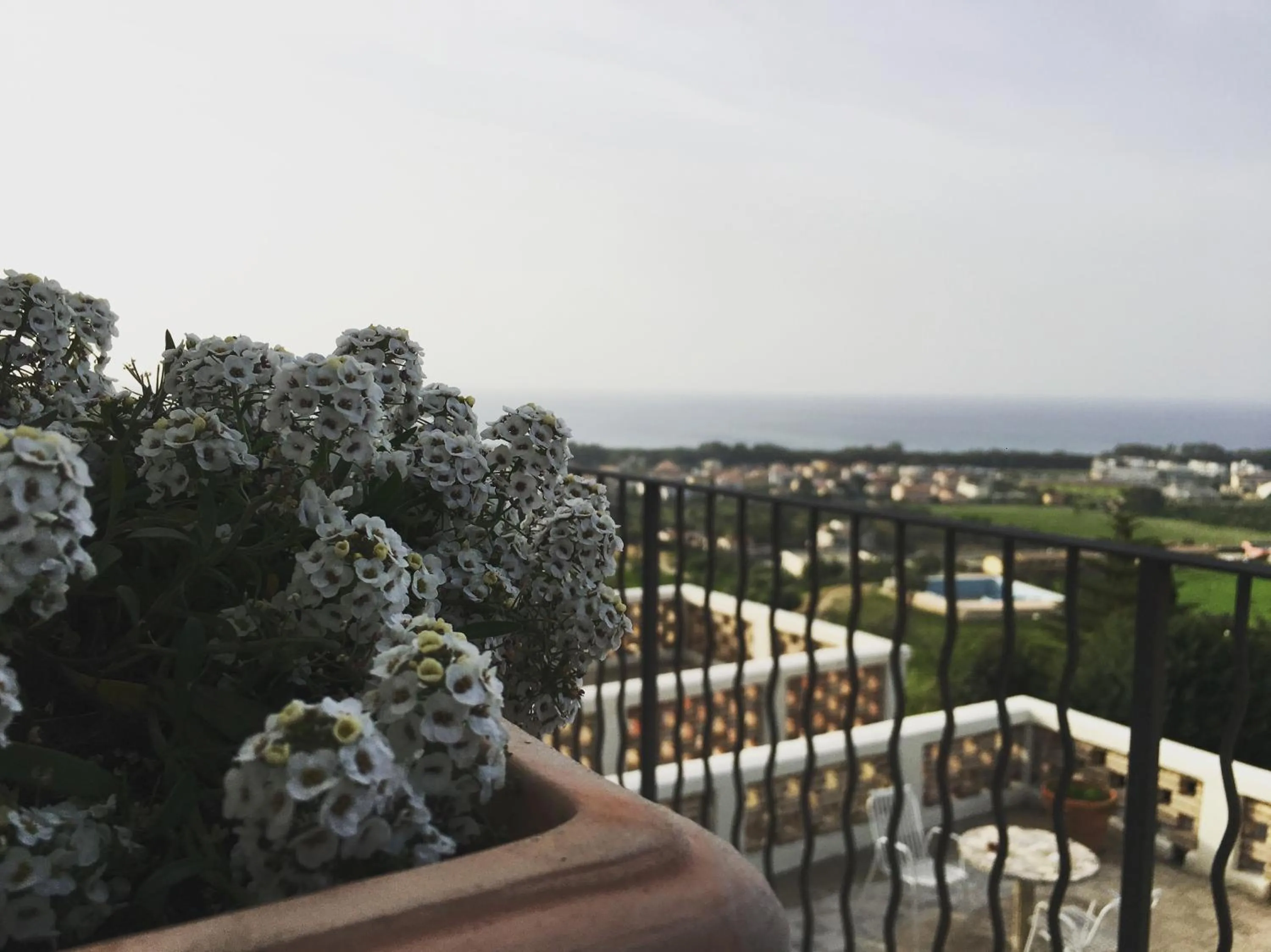 Spring in Don Giacchì Country House