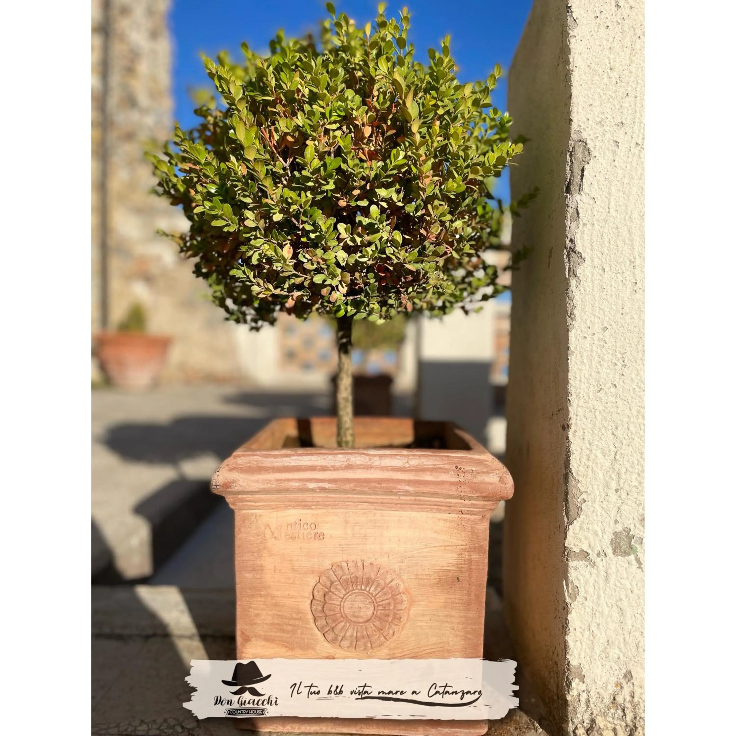 Don Giacchì Country House