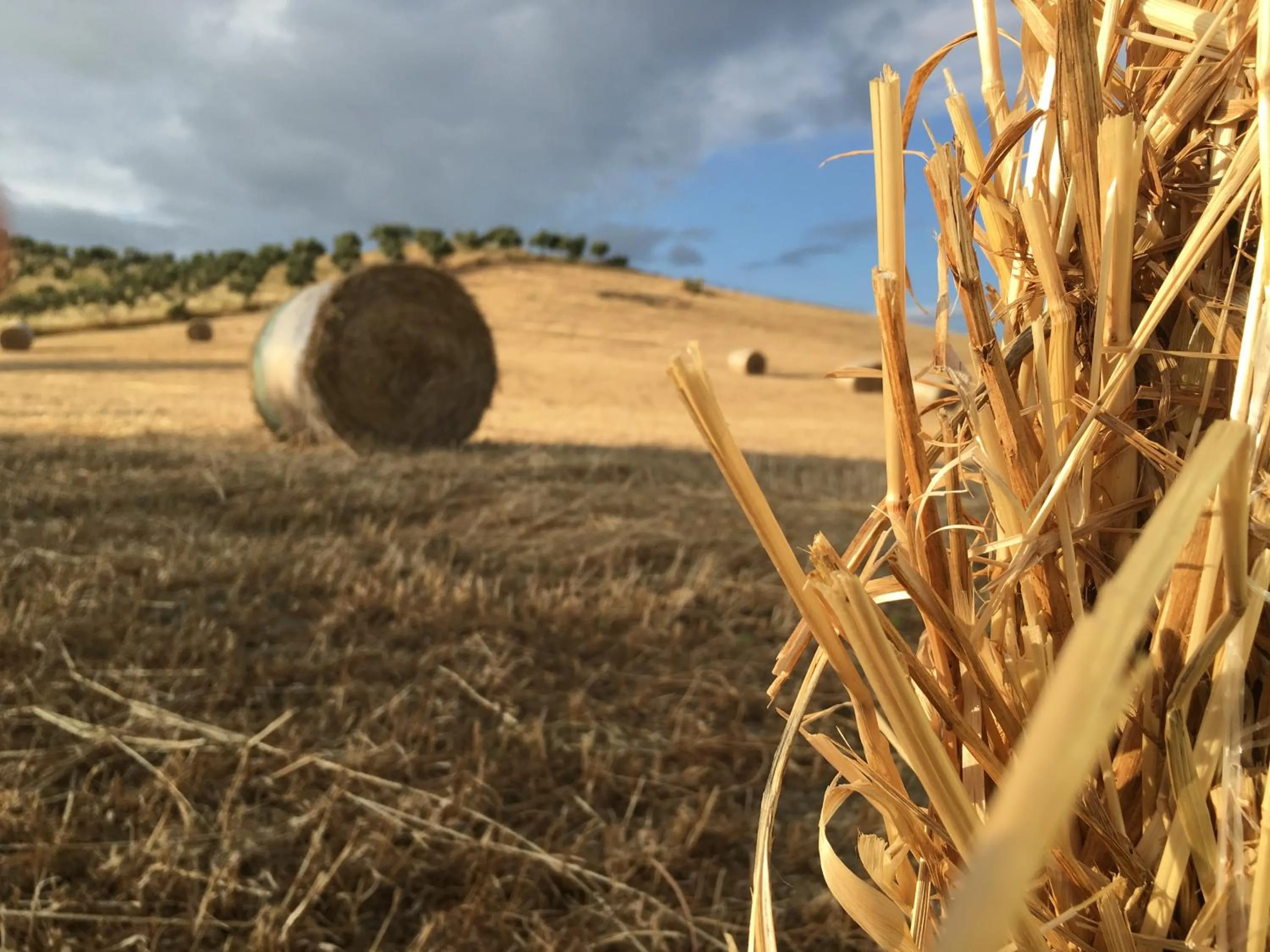 Don Giacchì Country House