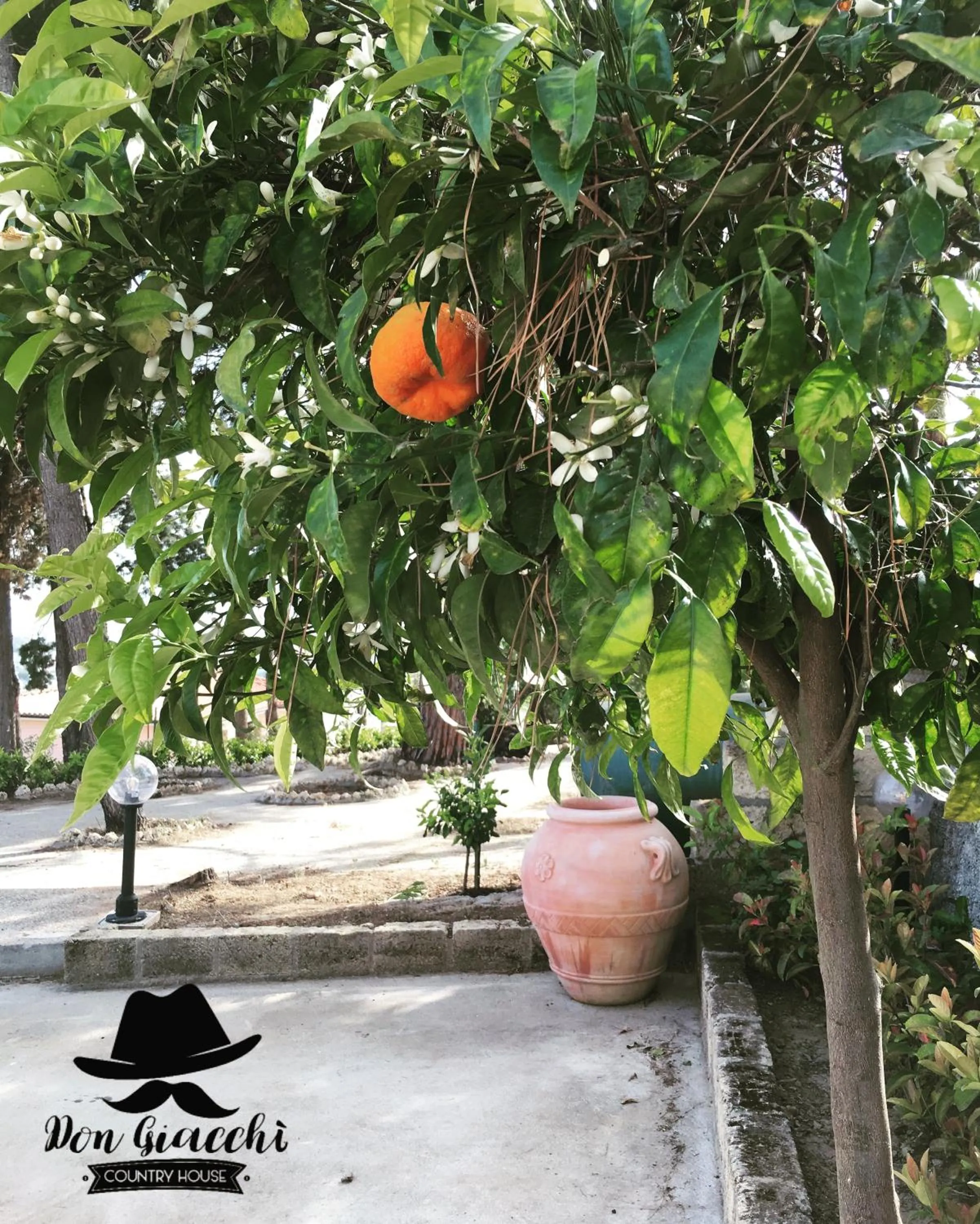 Garden in Don Giacchì Country House