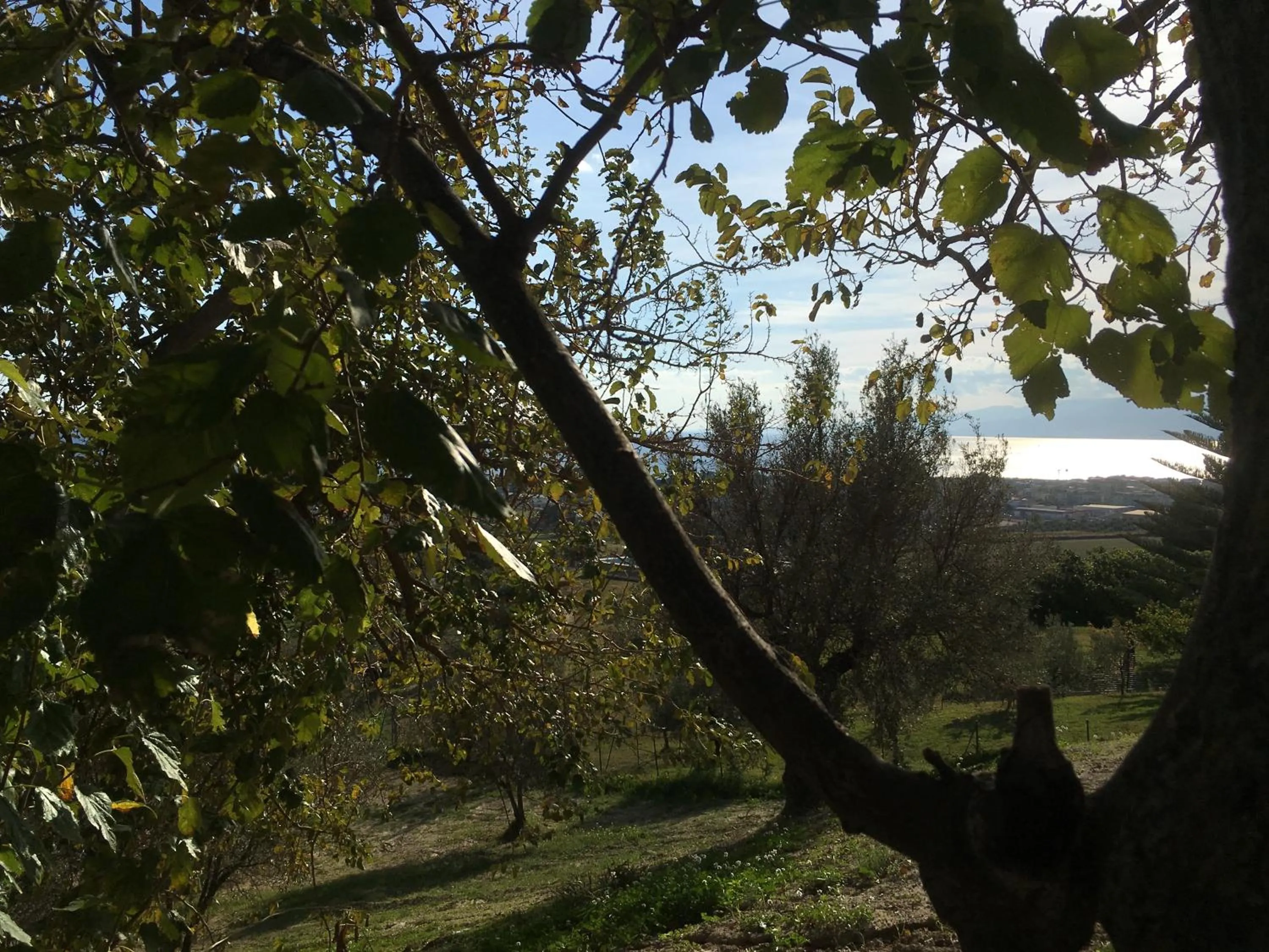 Garden view in Don Giacchì Country House