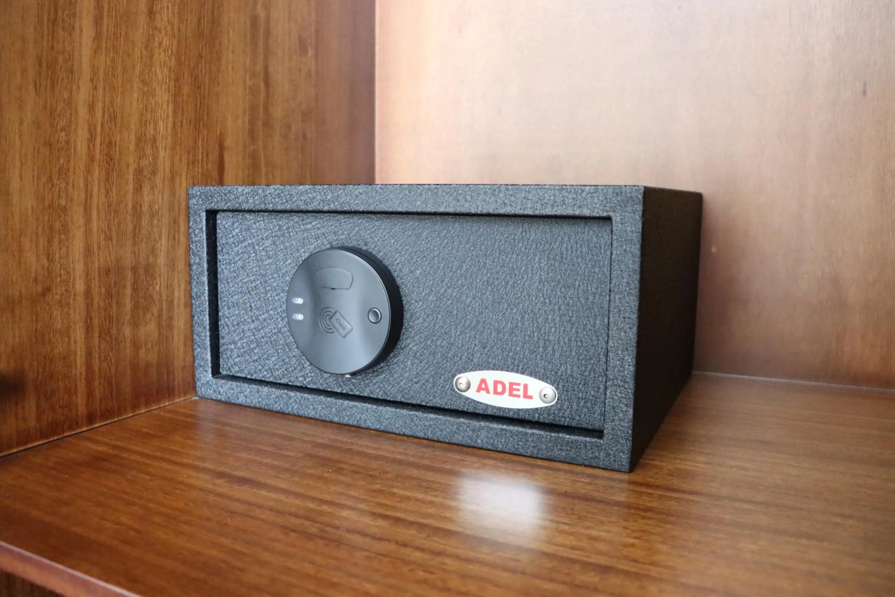 safe in Hotel San Agustin Plaza