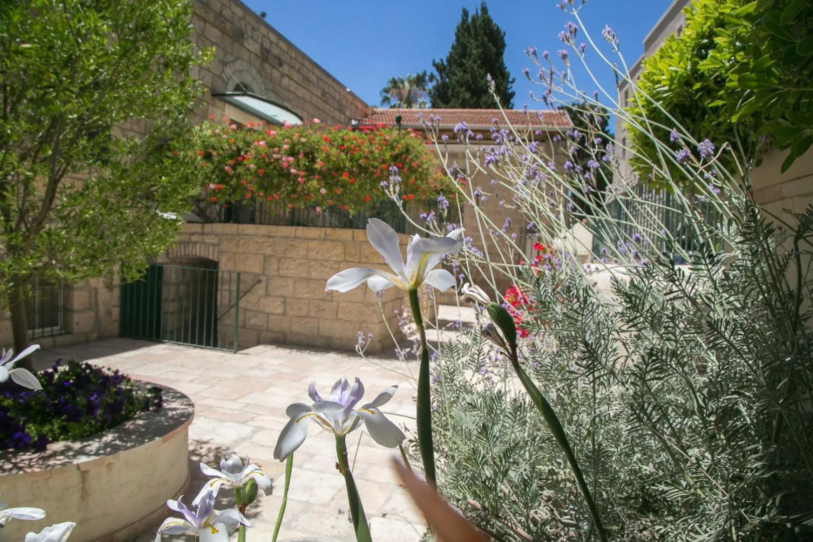 Patio in The Templer Inn