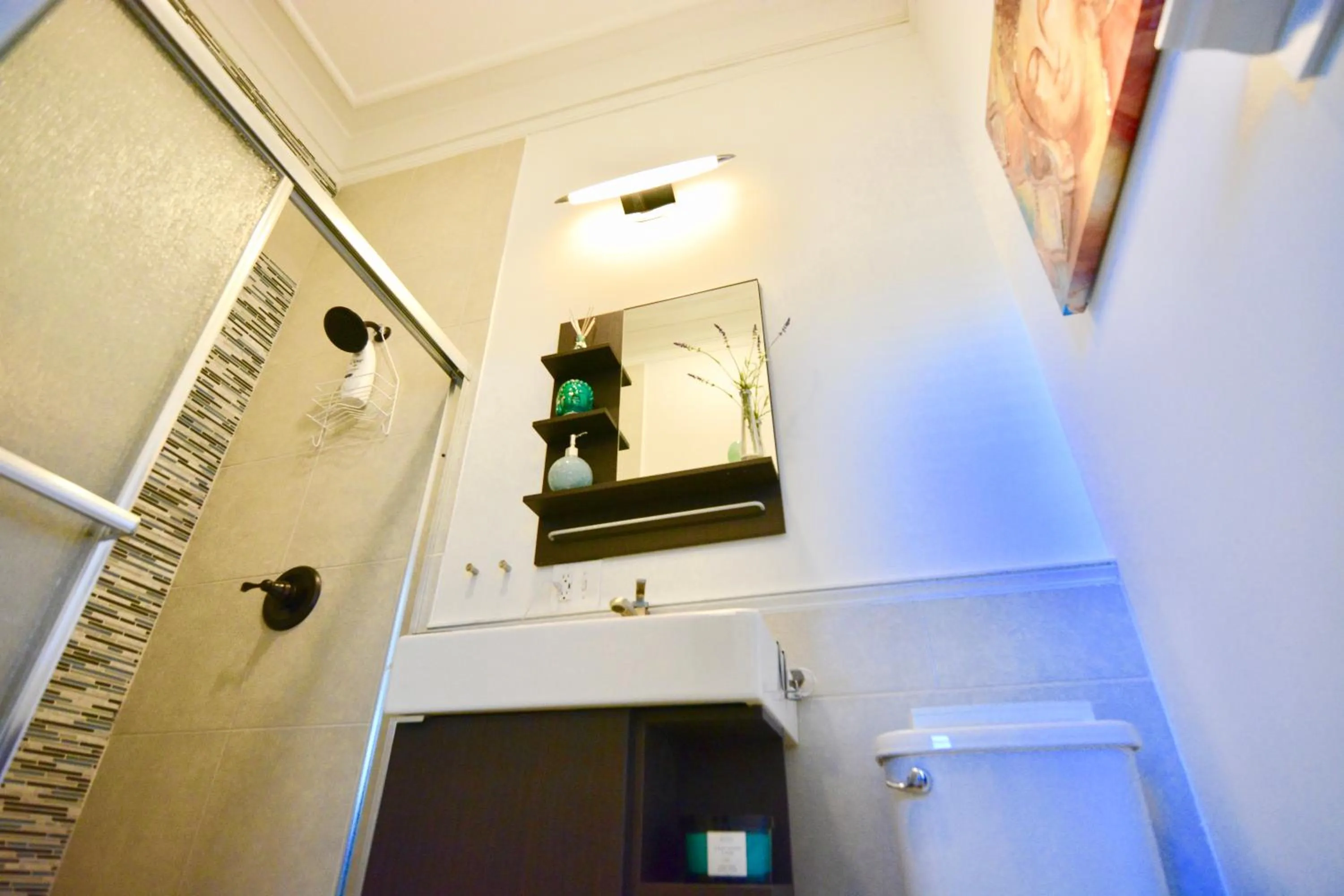 Shower in Downtown Memphis Shellcrest Apartments