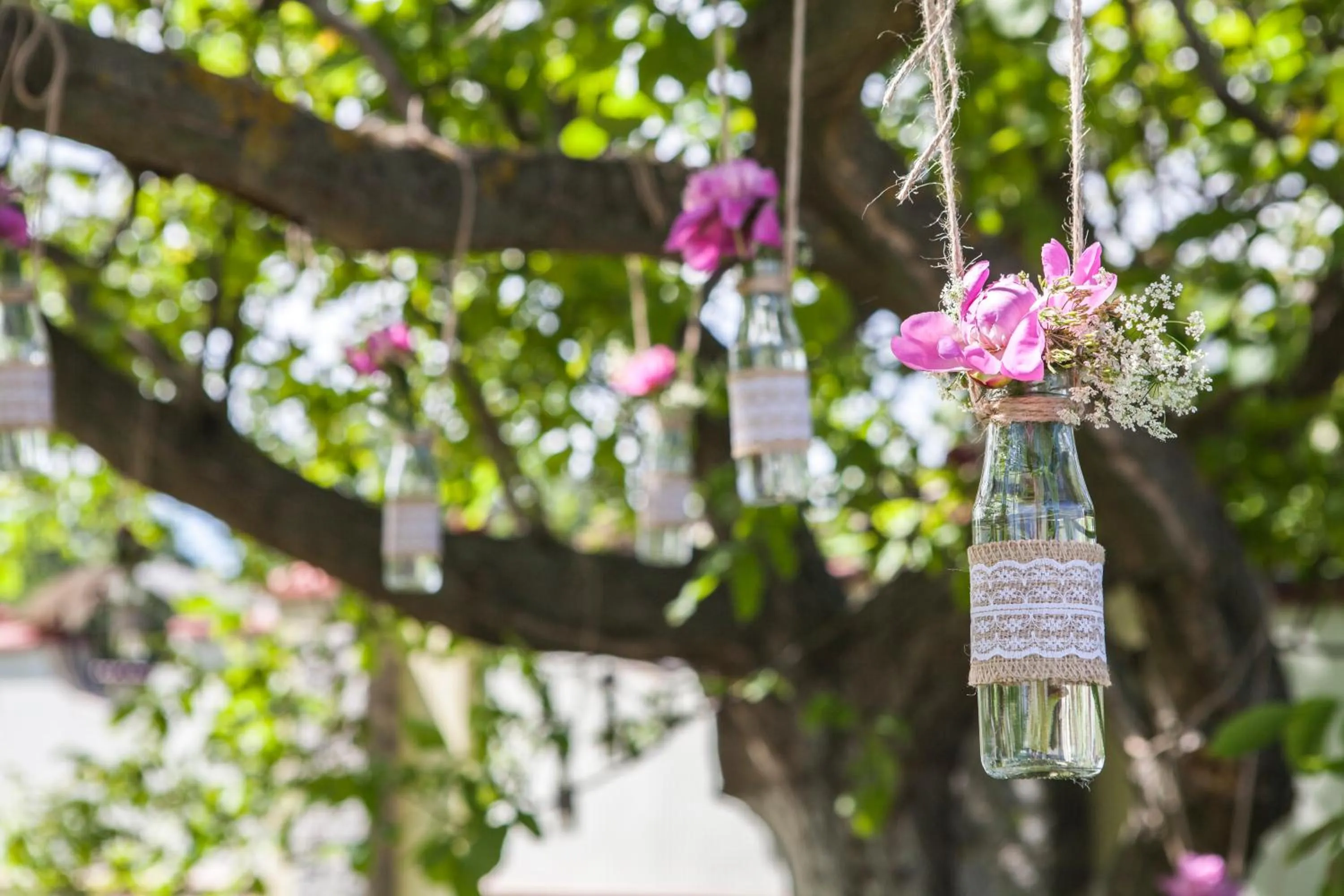 Garden in Oselya Hotel
