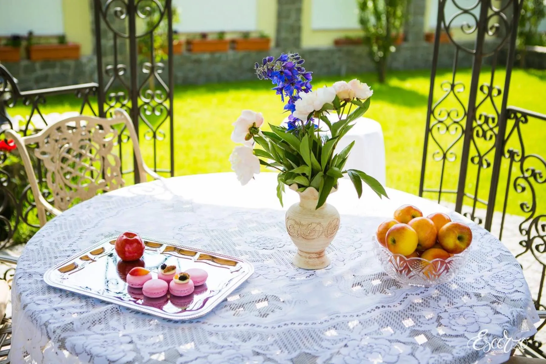 Garden in Oselya Hotel