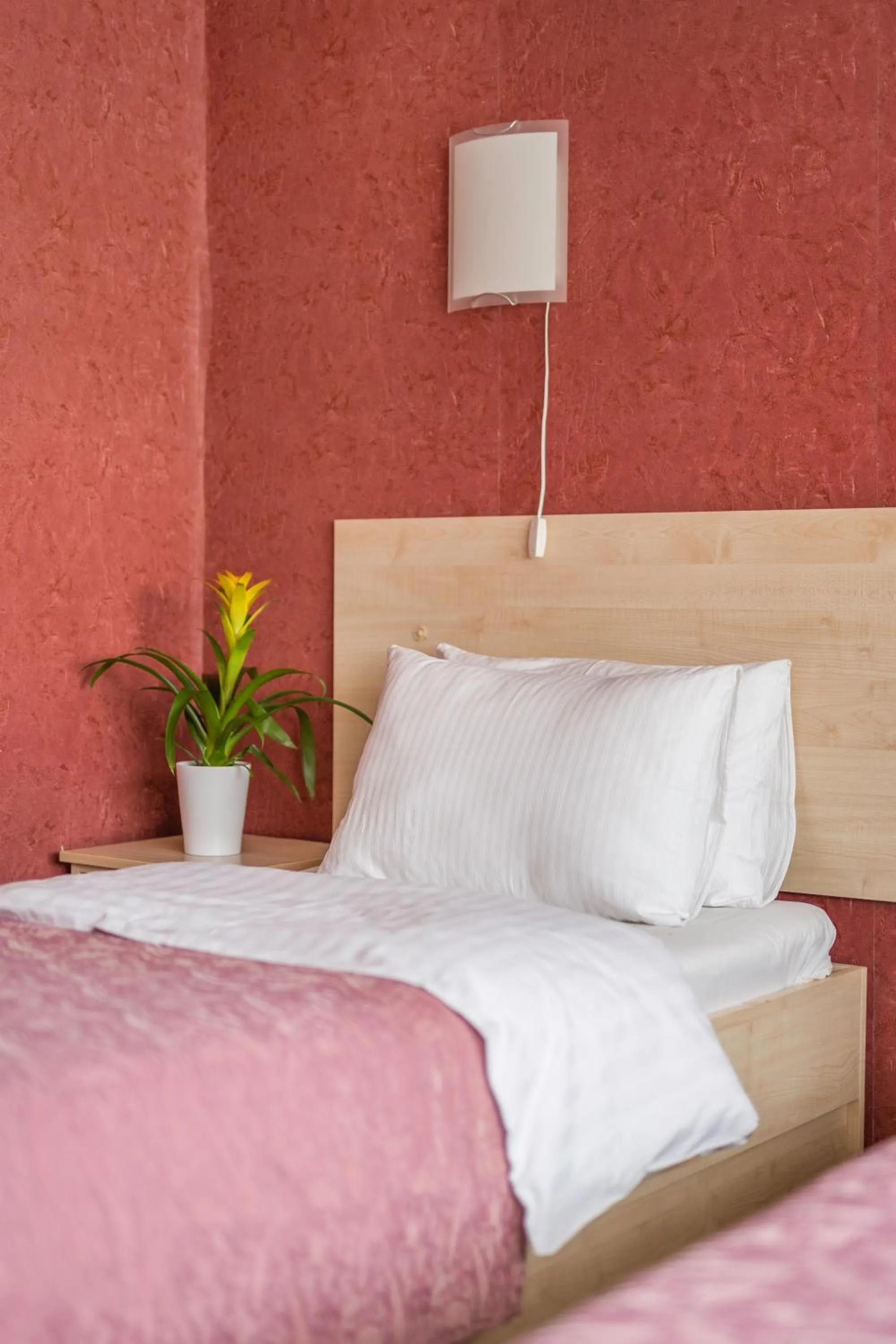 Bed in Šiaurės Vartai