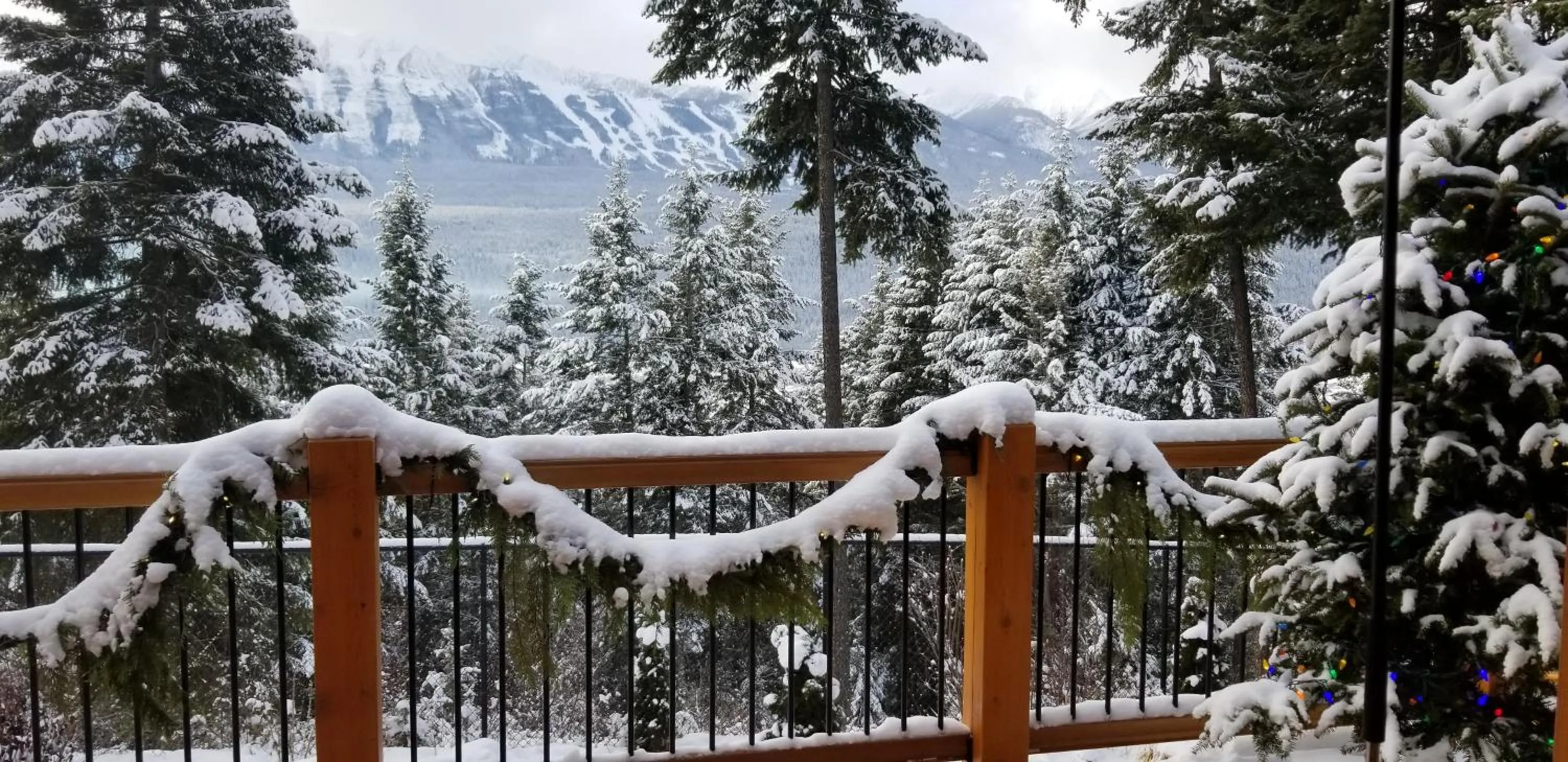 Winter in Deer Ridge B&B