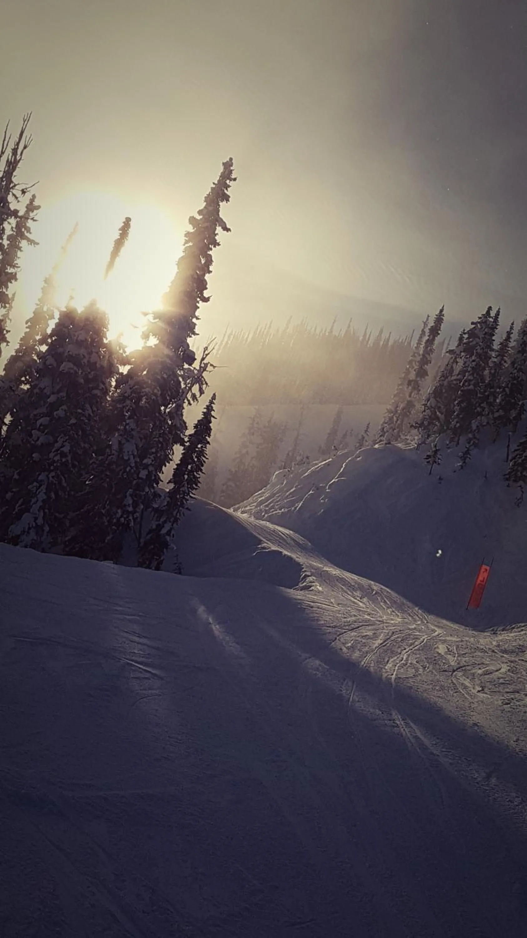 Skiing in Deer Ridge B&B