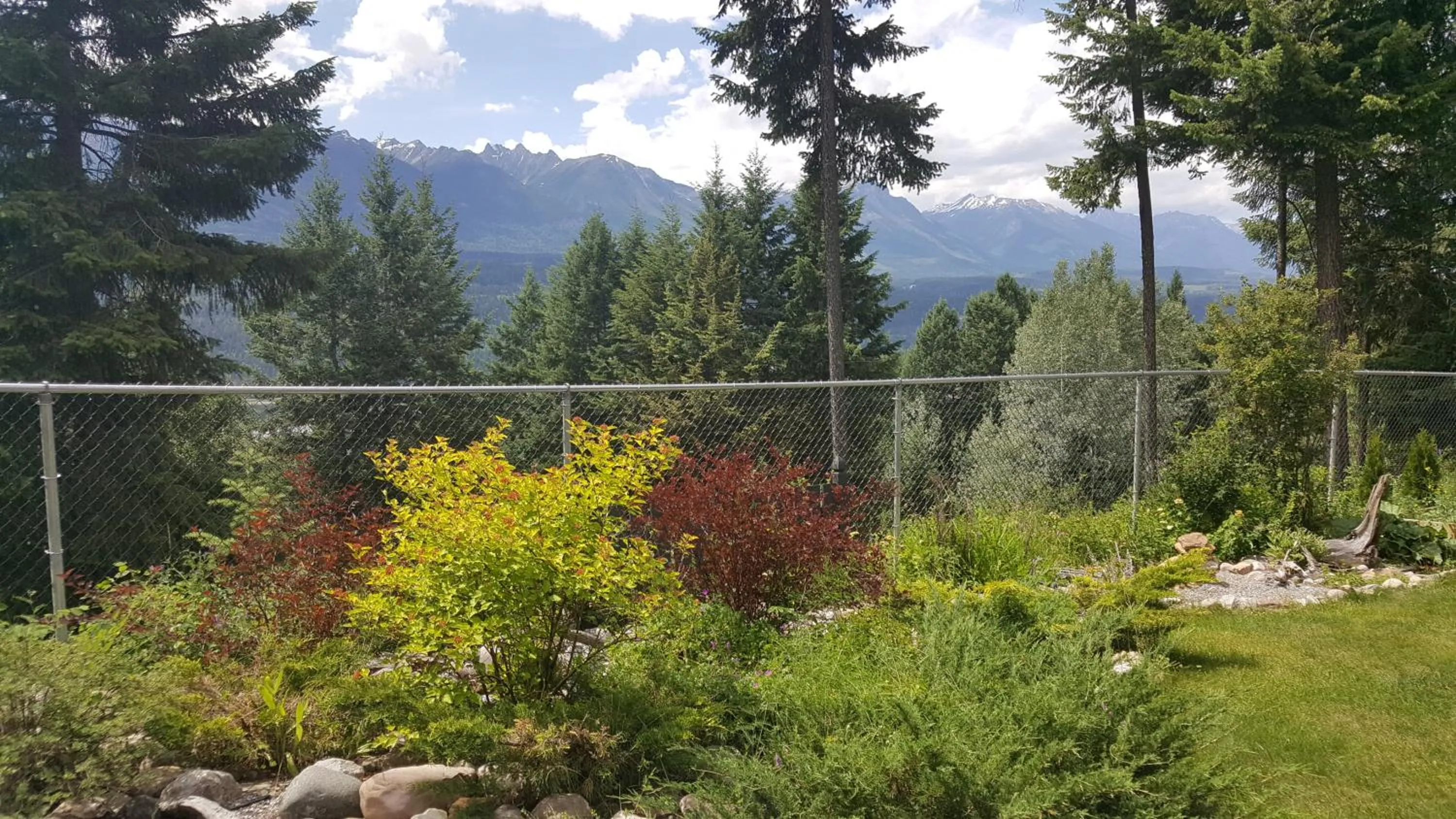 Mountain view in Deer Ridge B&B