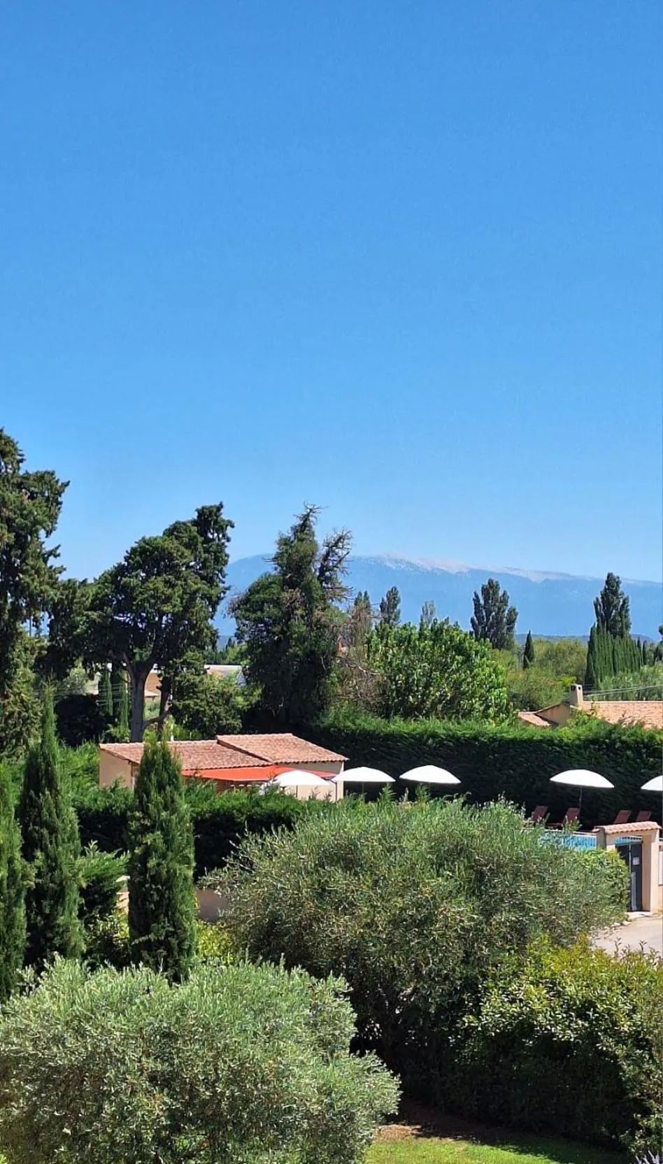 Garden view in Hôtel La Perna