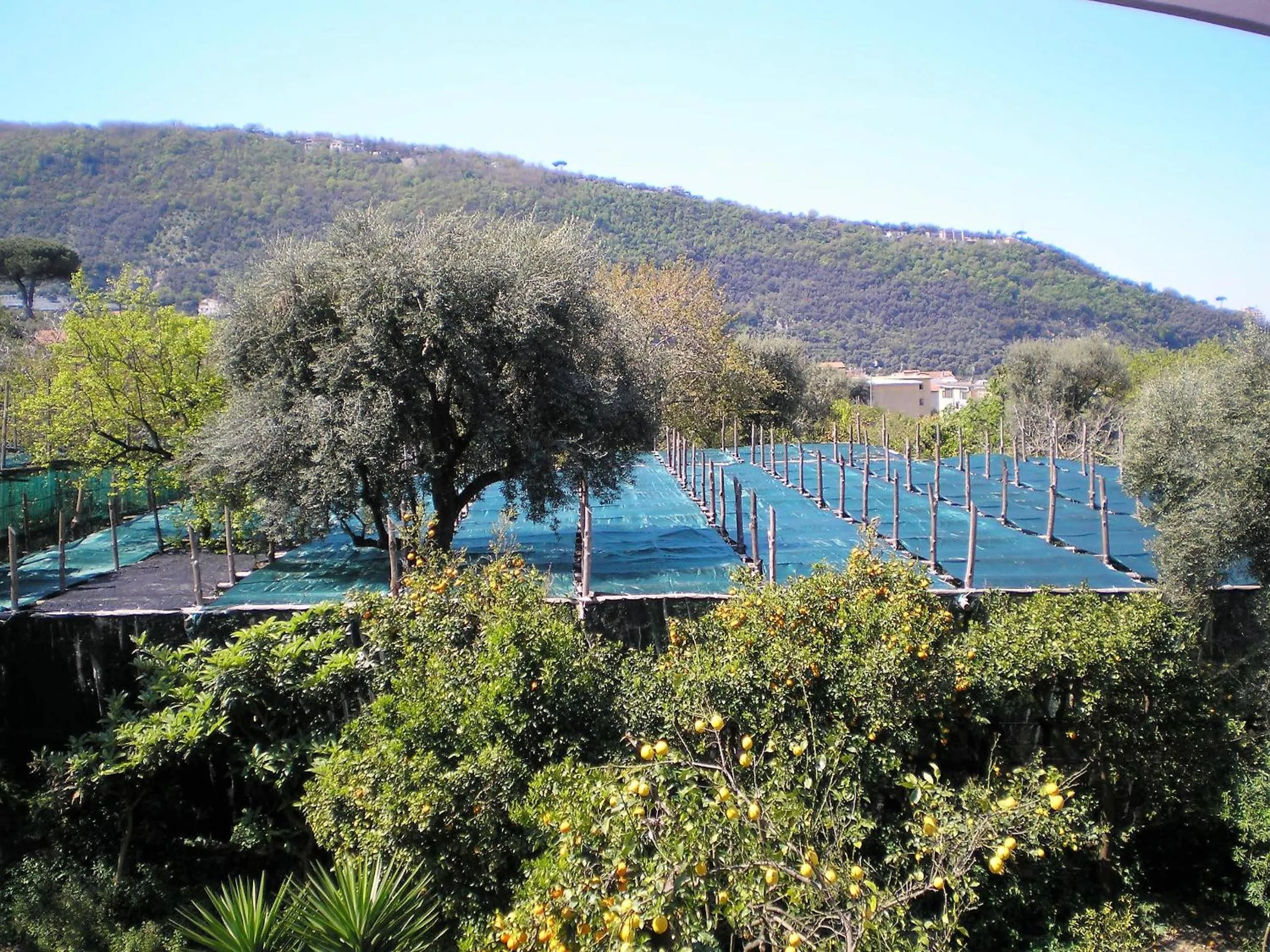 Garden view in Itaca B&B